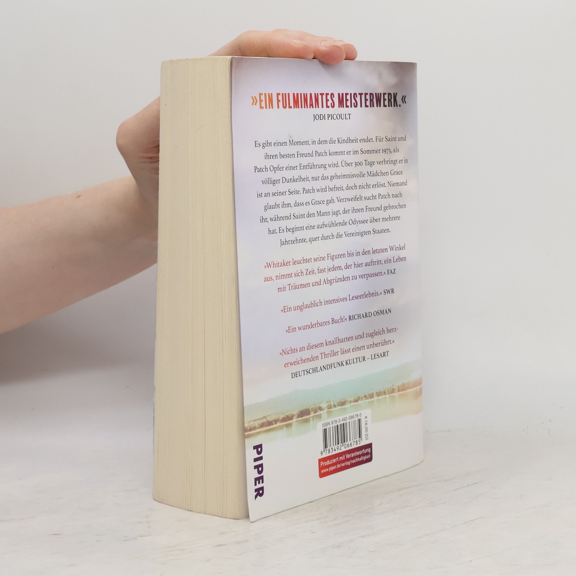 Chris Whitaker In den Farben des Dunkels: Roman | Das gefeierte und intensive Leseerlebnis des SPIEGEL-Bestsellerautors von »Von hier bis zum Anfang«