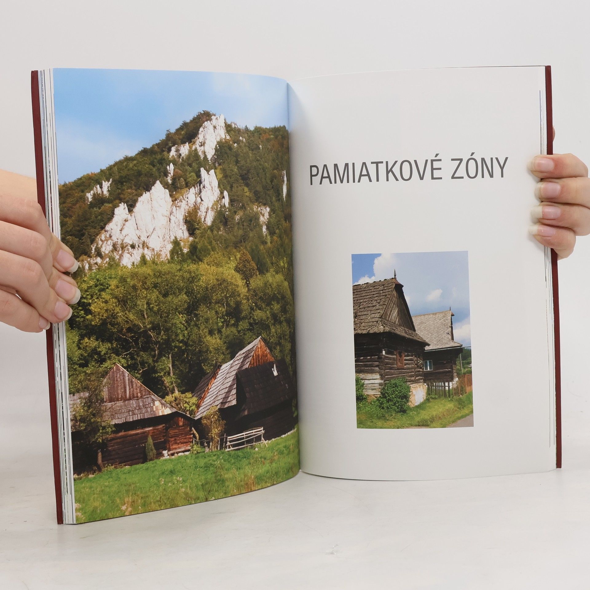 Viera Dvořáková Ľudová architektúra