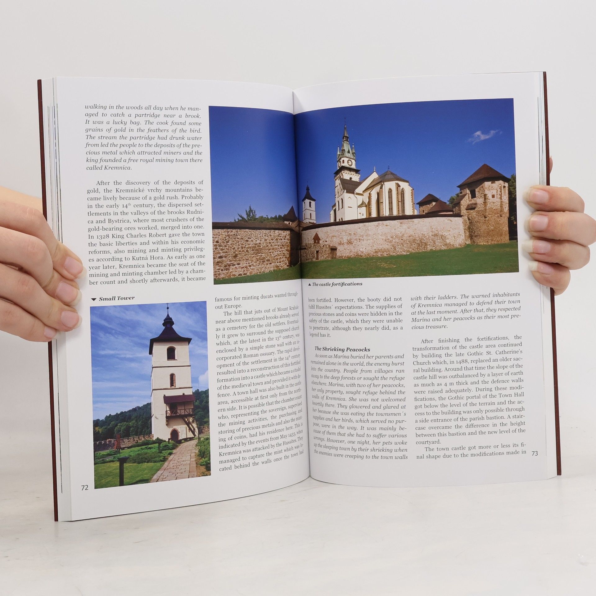 Daniel Kollár Castles and Chateaux