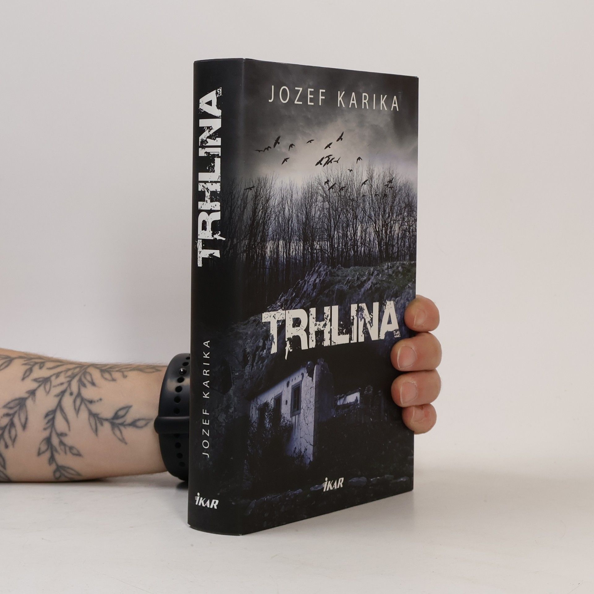 Jozef Karika Trhlina