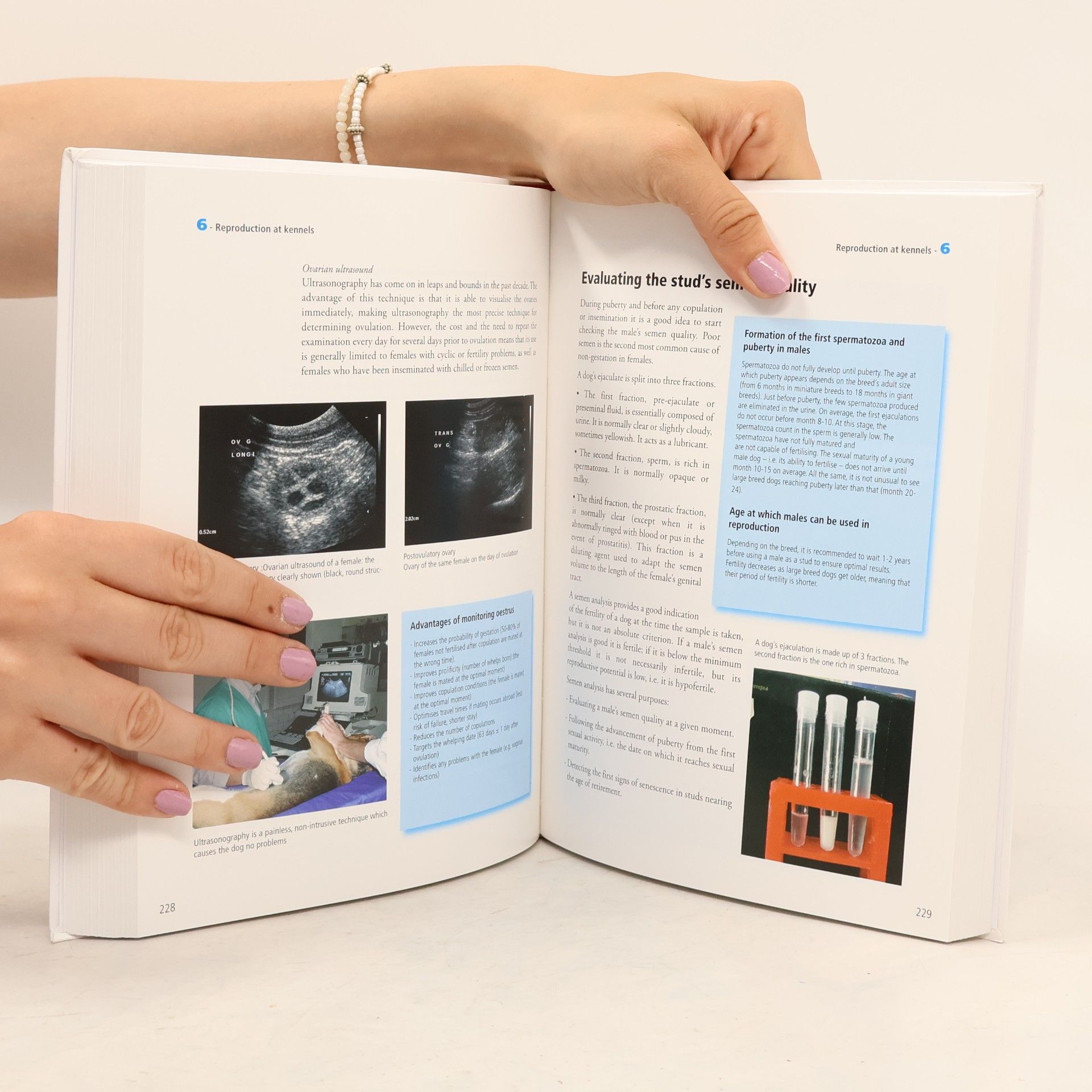 Kolektiv autorů Dog Breeding. Practical Guide
