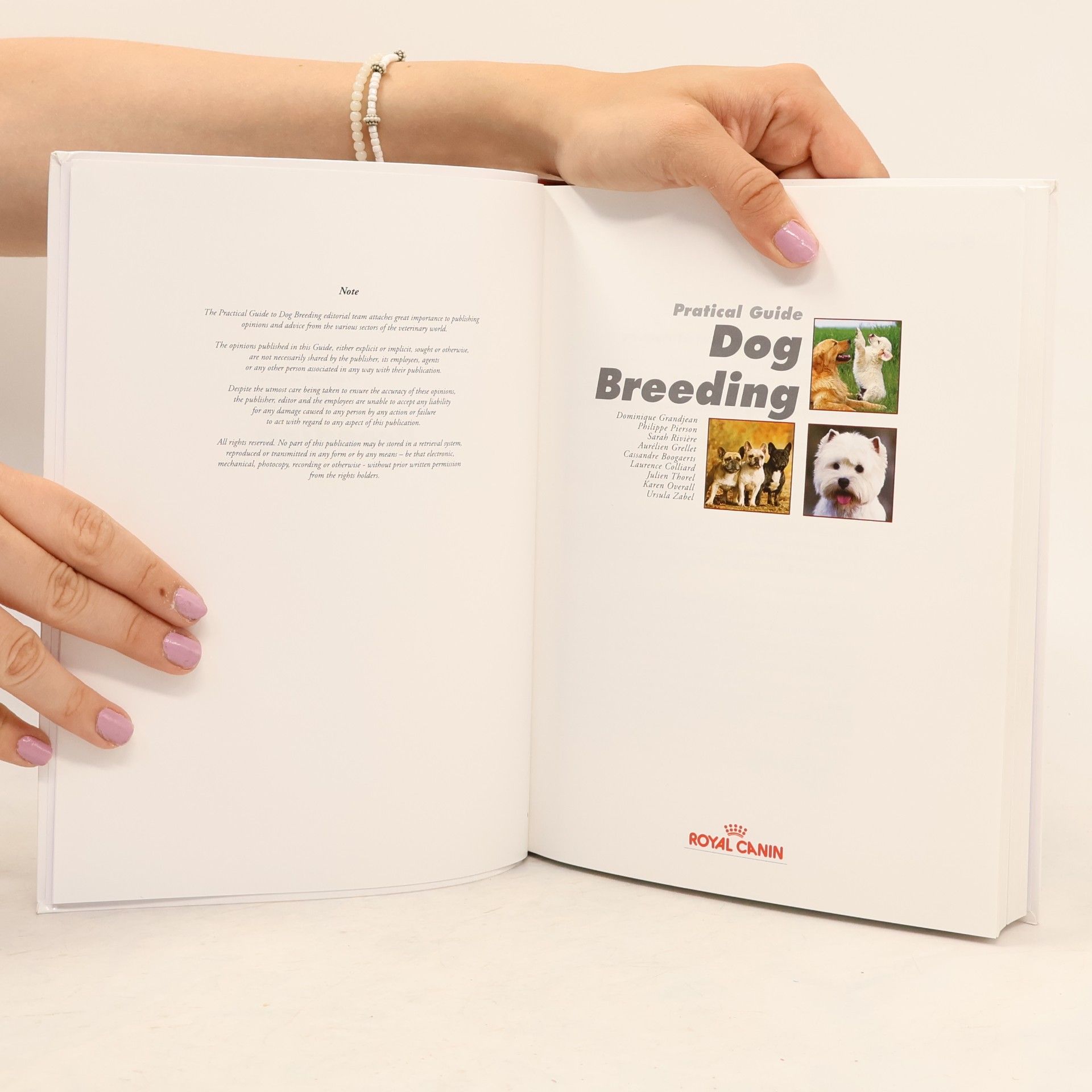 Kolektiv autorů Dog Breeding. Practical Guide