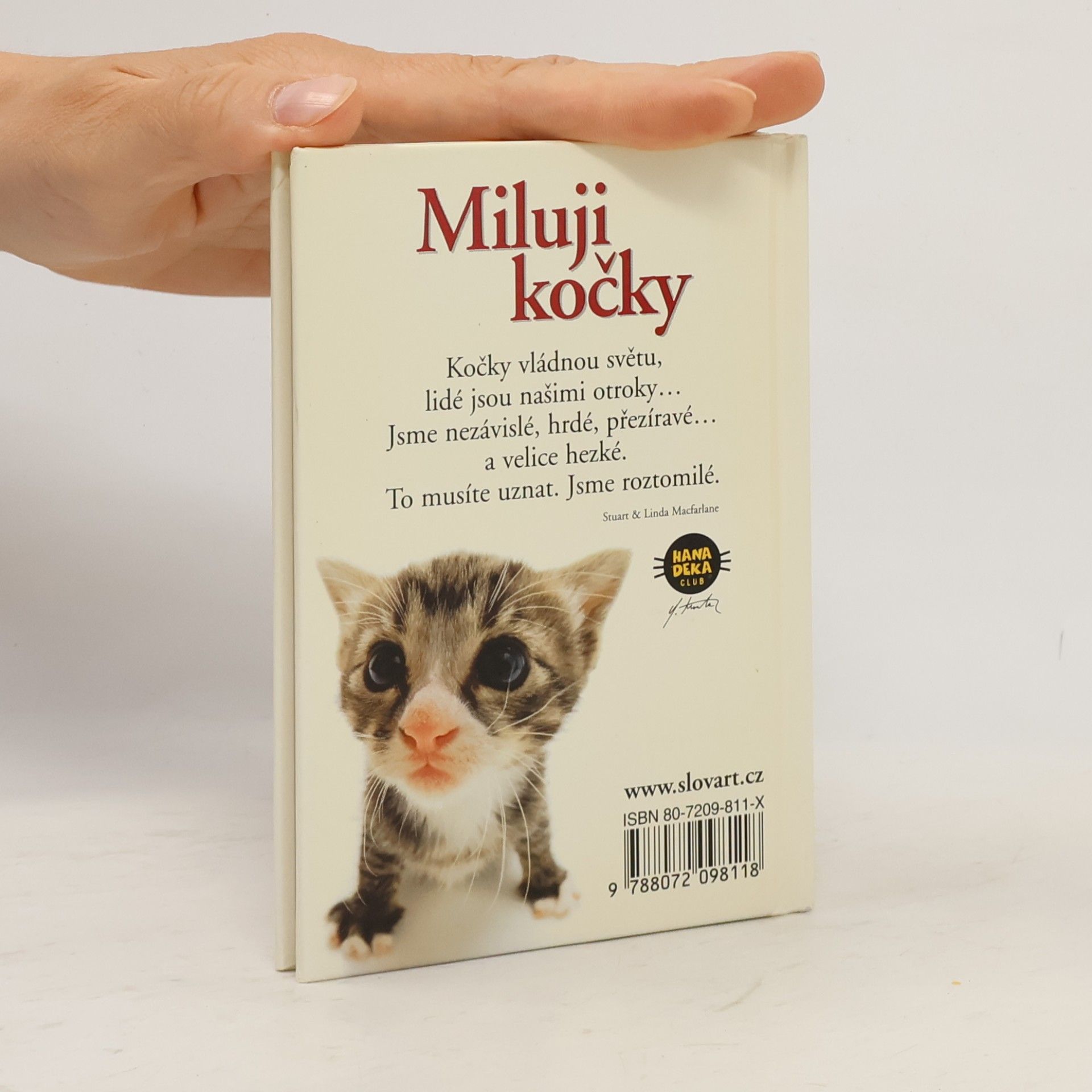 Yoneo Morita Miluji kočky