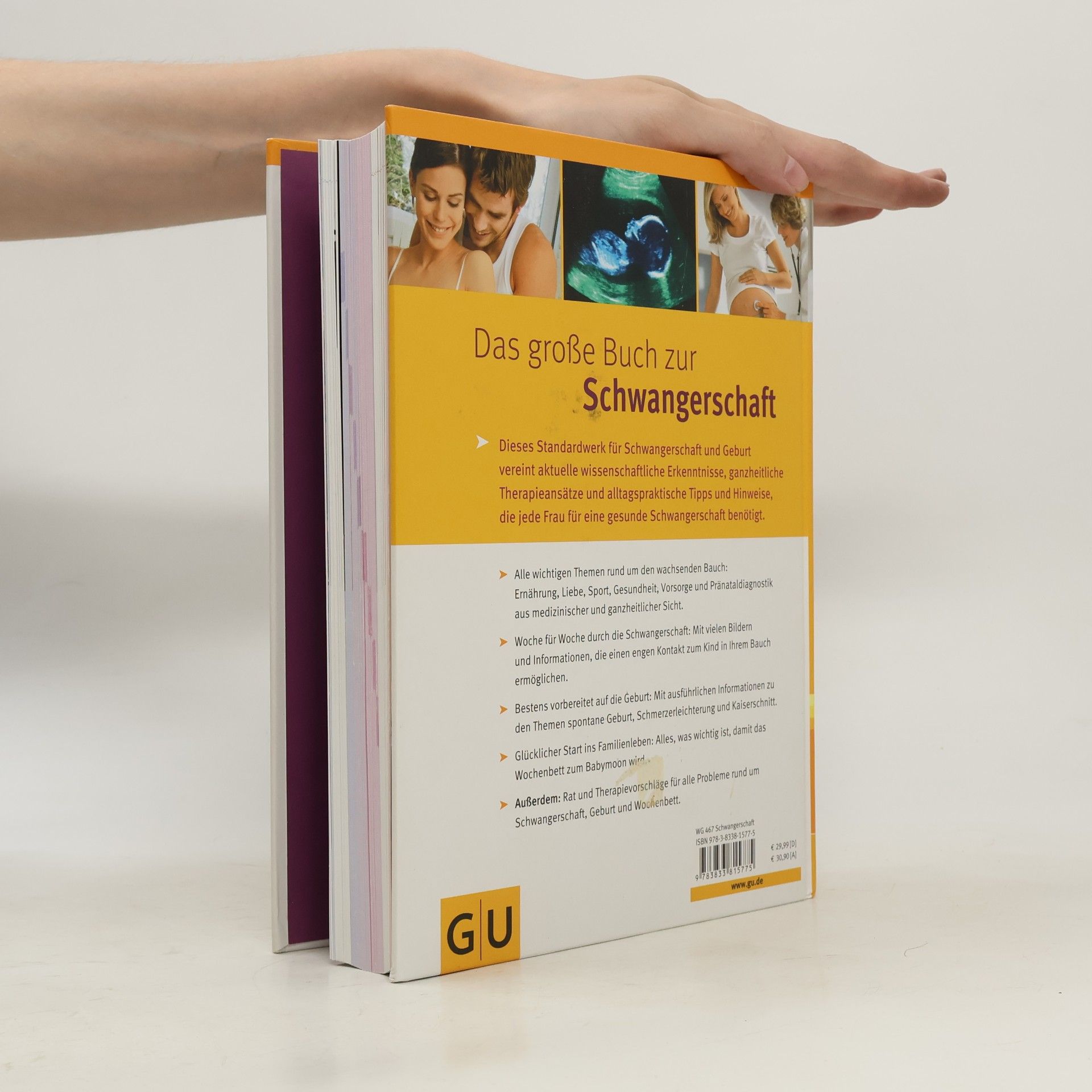 Annette Nolden-Thommen Das große Buch zur Schwangerschaft