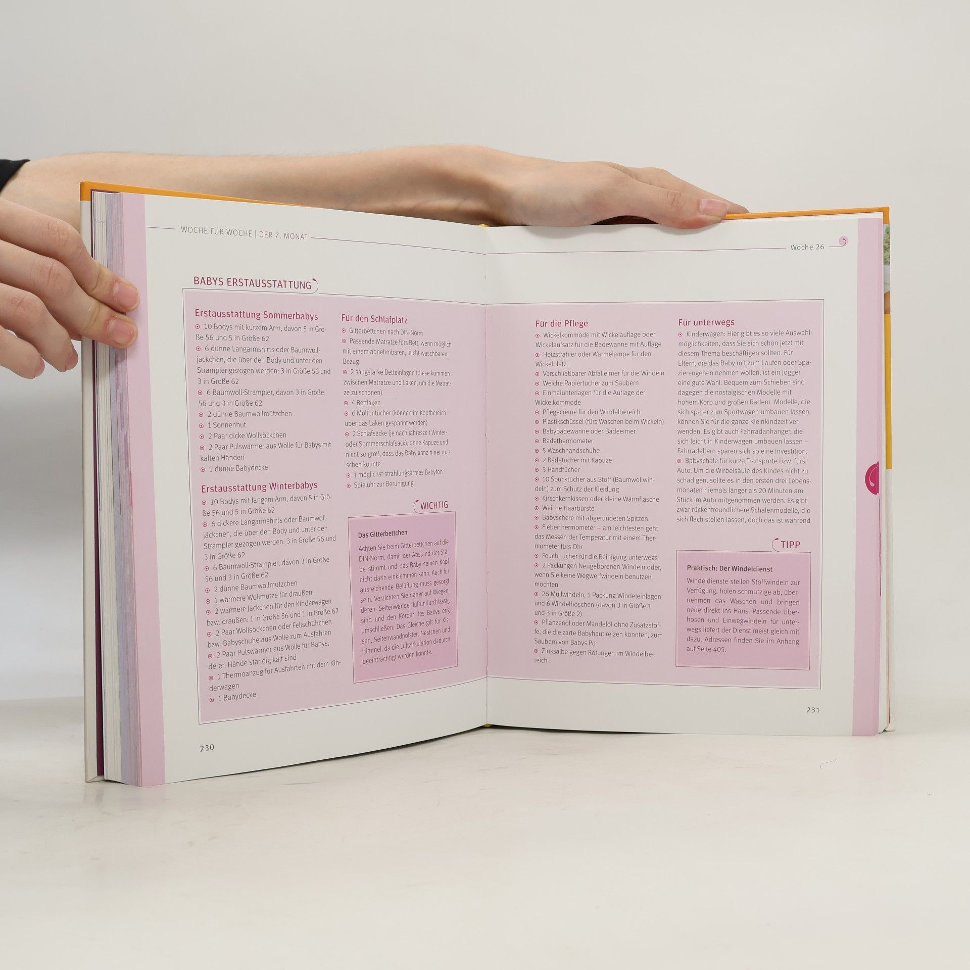 Annette Nolden-Thommen Das große Buch zur Schwangerschaft