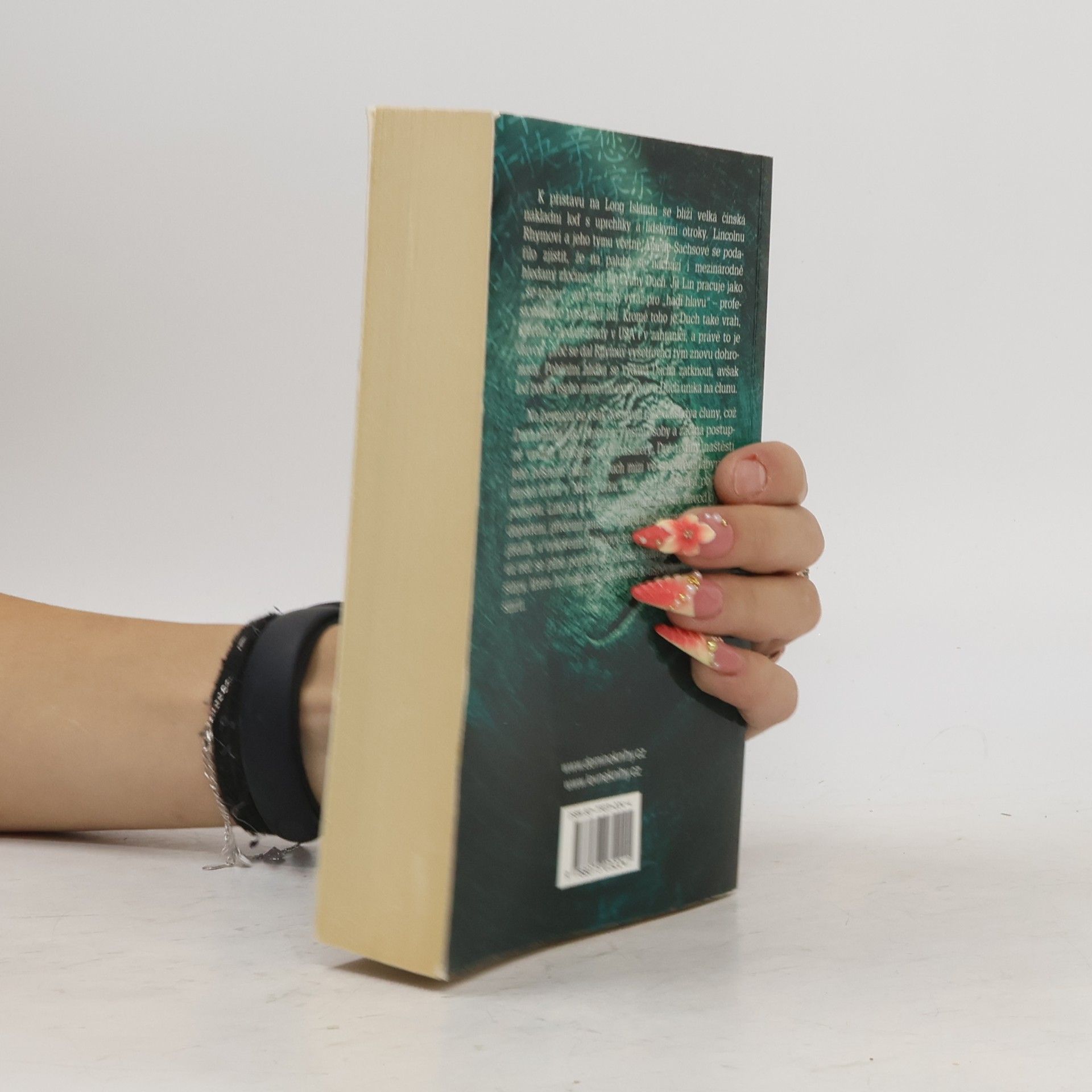 Jeffery Deaver Kamenná opice
