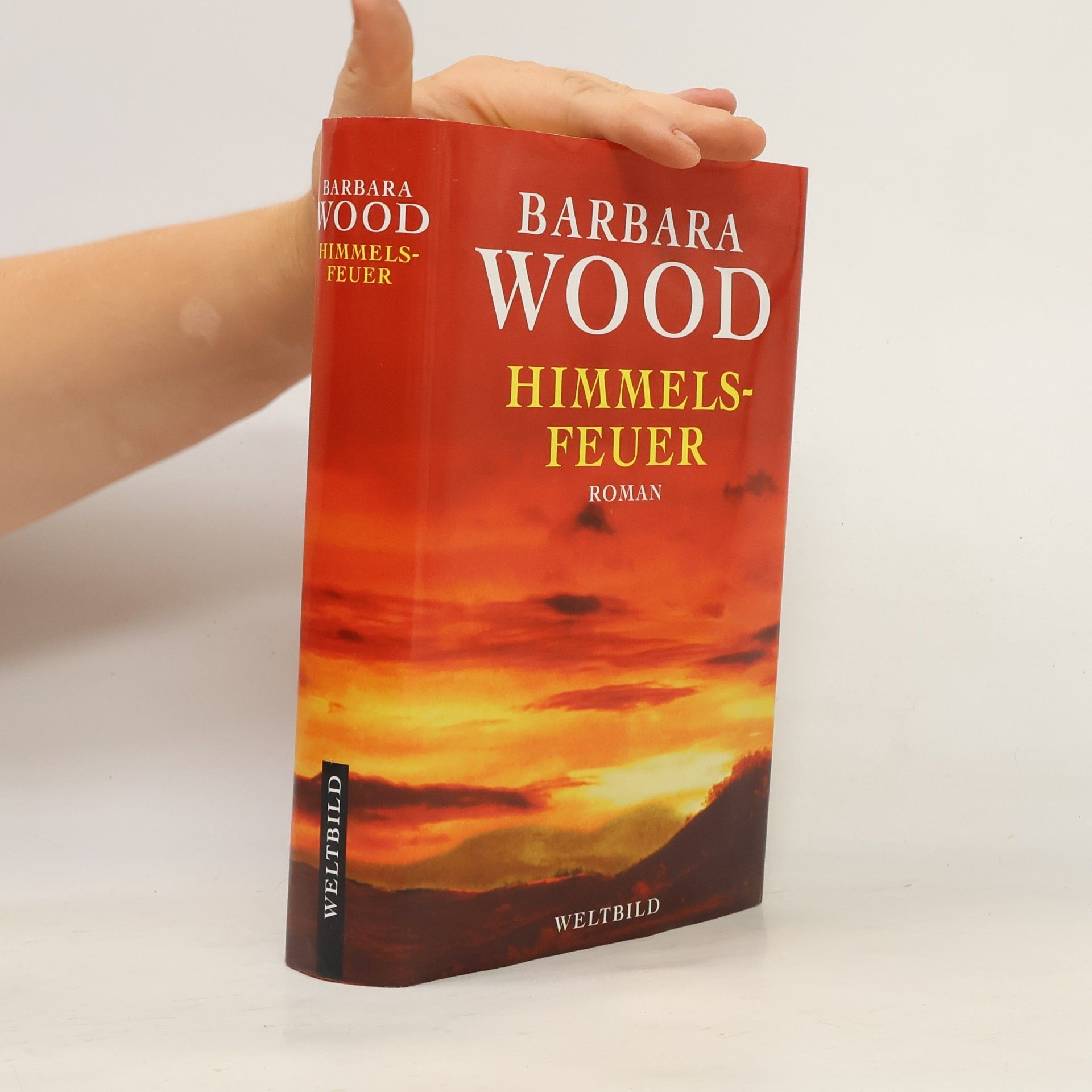 Barbara Wood Himmelsfeuer