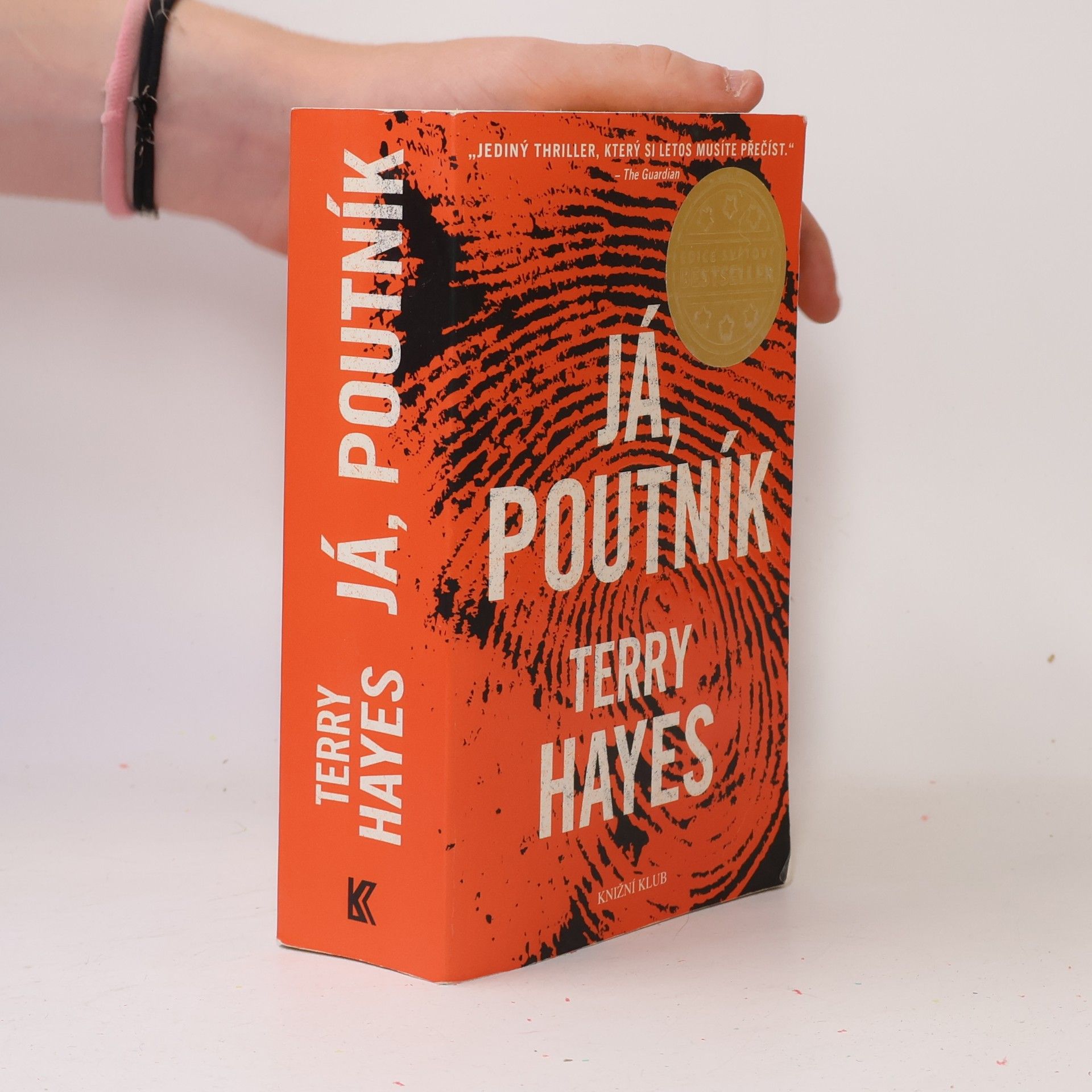 Terry Hayes Já, Poutník