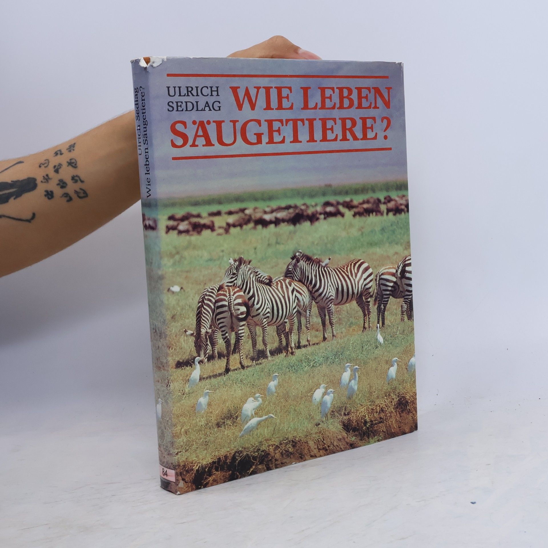 Ulrich Sedlag Wie leben Säugetiere?