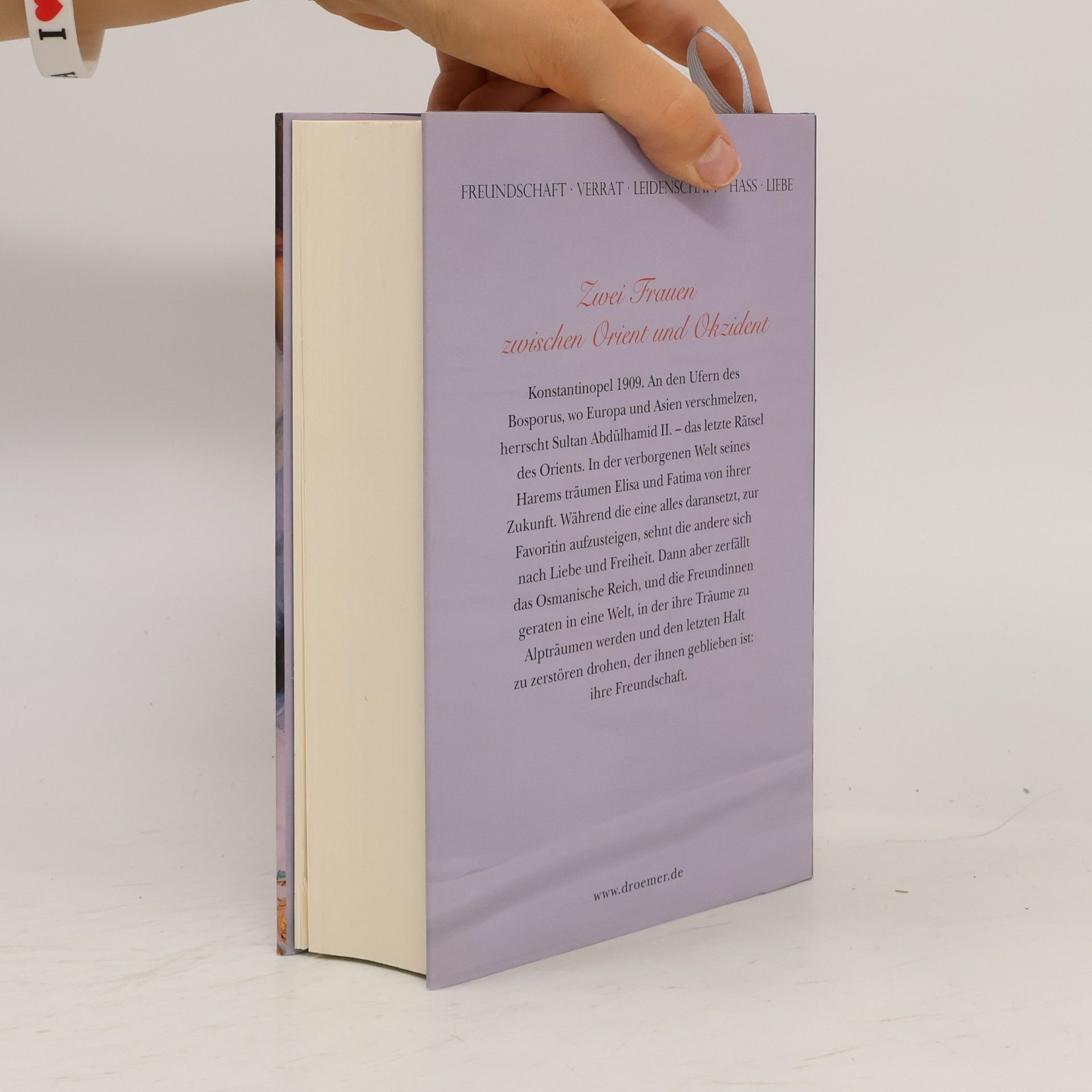 Peter Prange Der letzte Harem