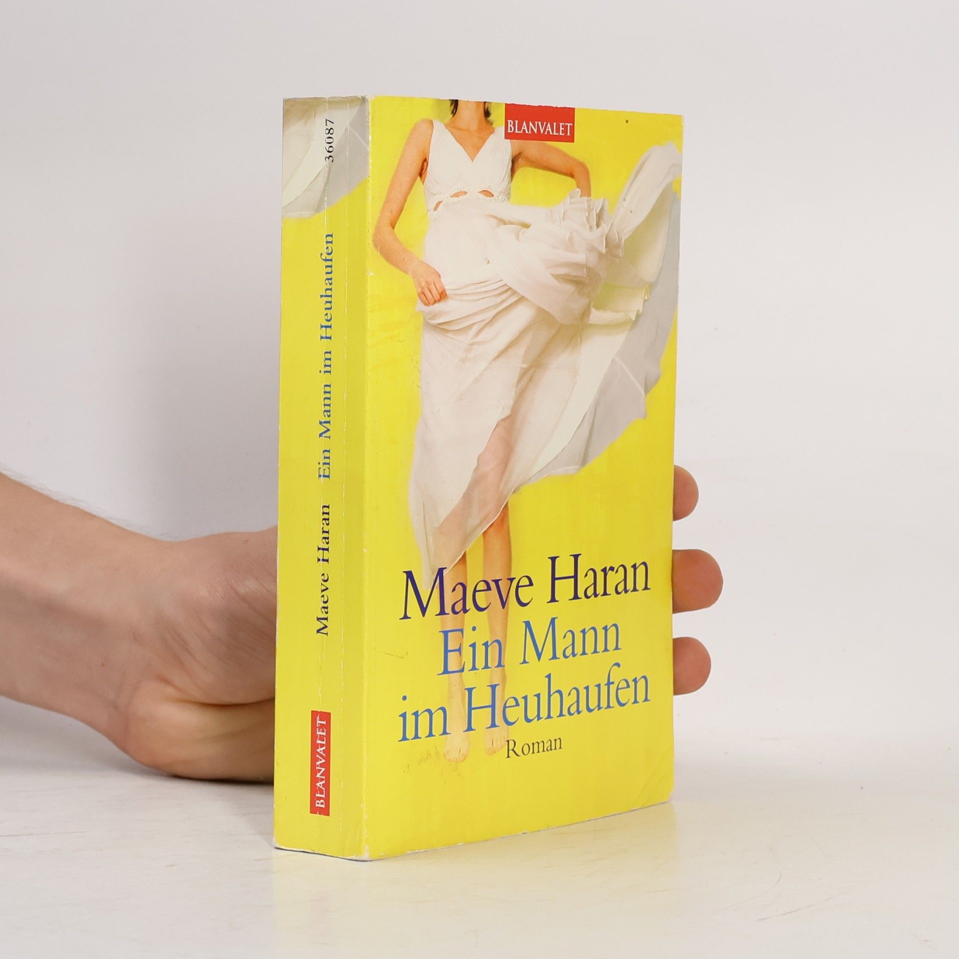 Maeve Haran Ein Mann im Heuhaufen