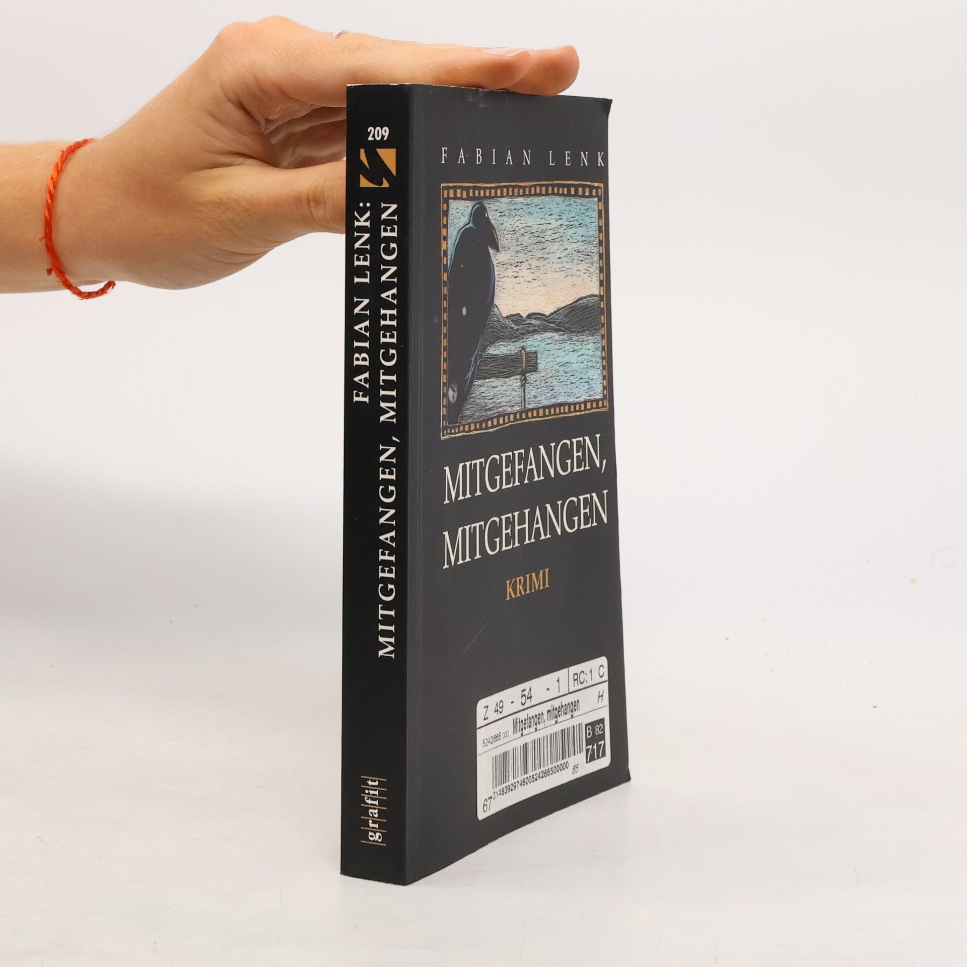 Fabian Lenk Mitgefangen, mitgehangen. Kriminalroman