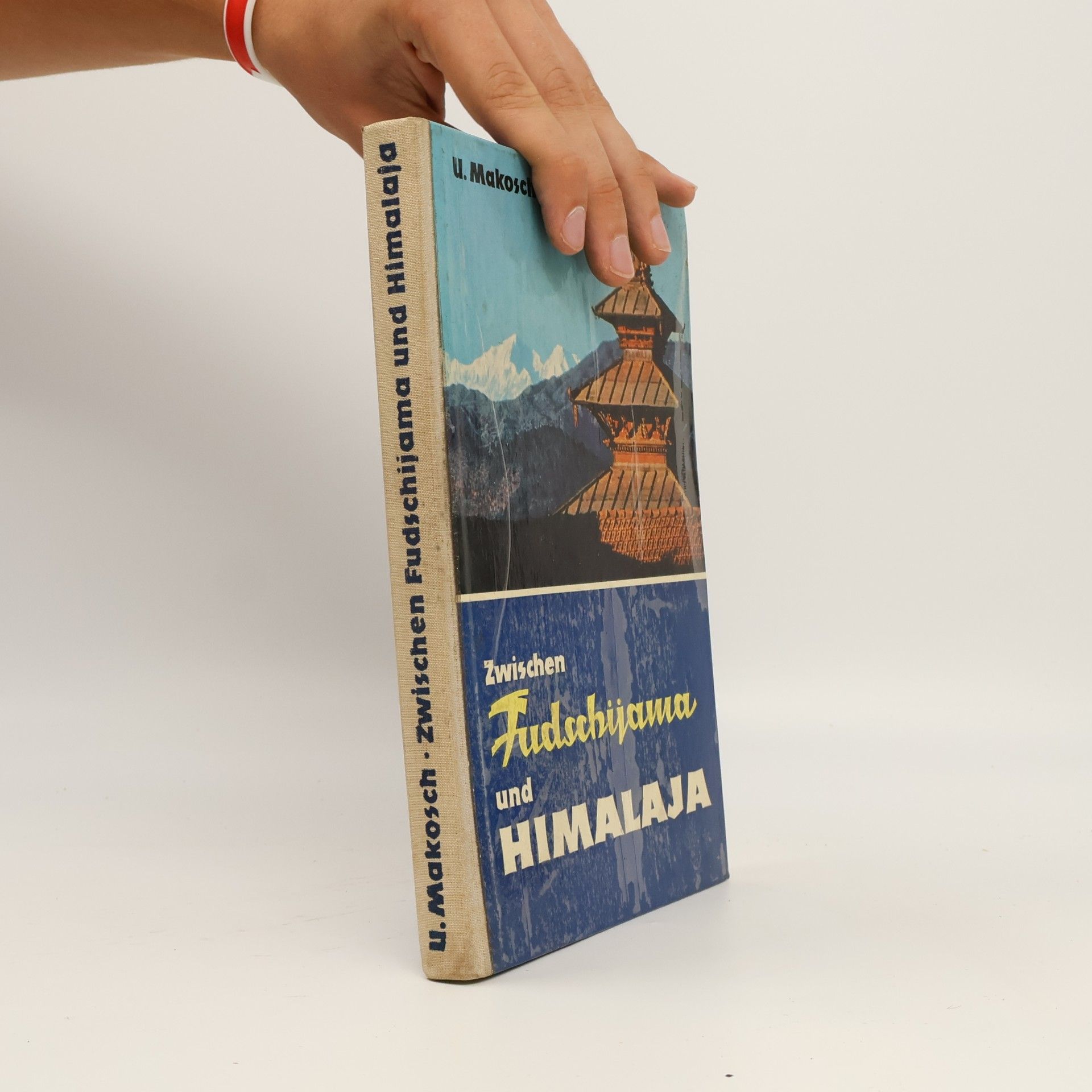 Makosch Ulrich Zwischen Fudschijama und Himalaja