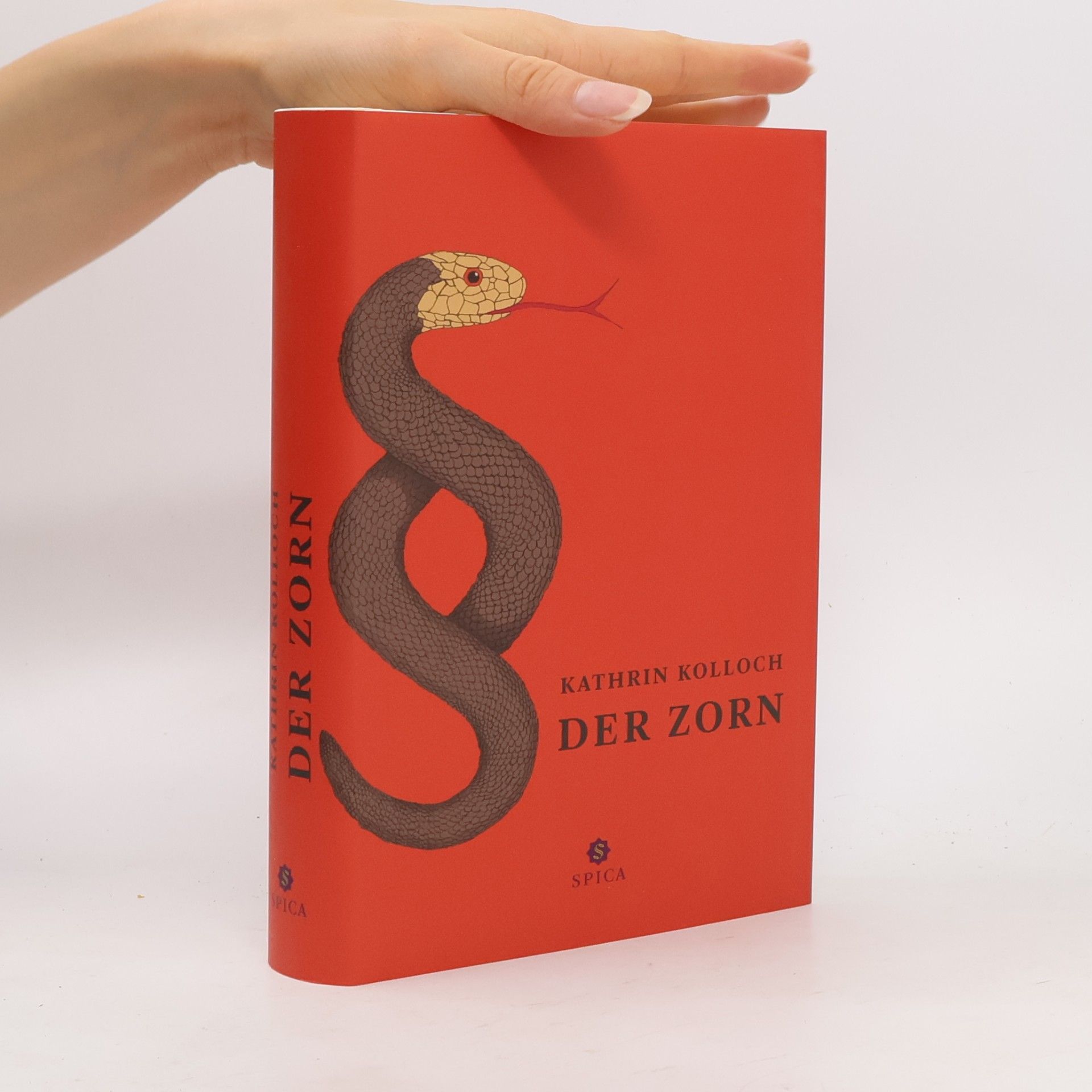 Kathrin Kolloch Der Zorn