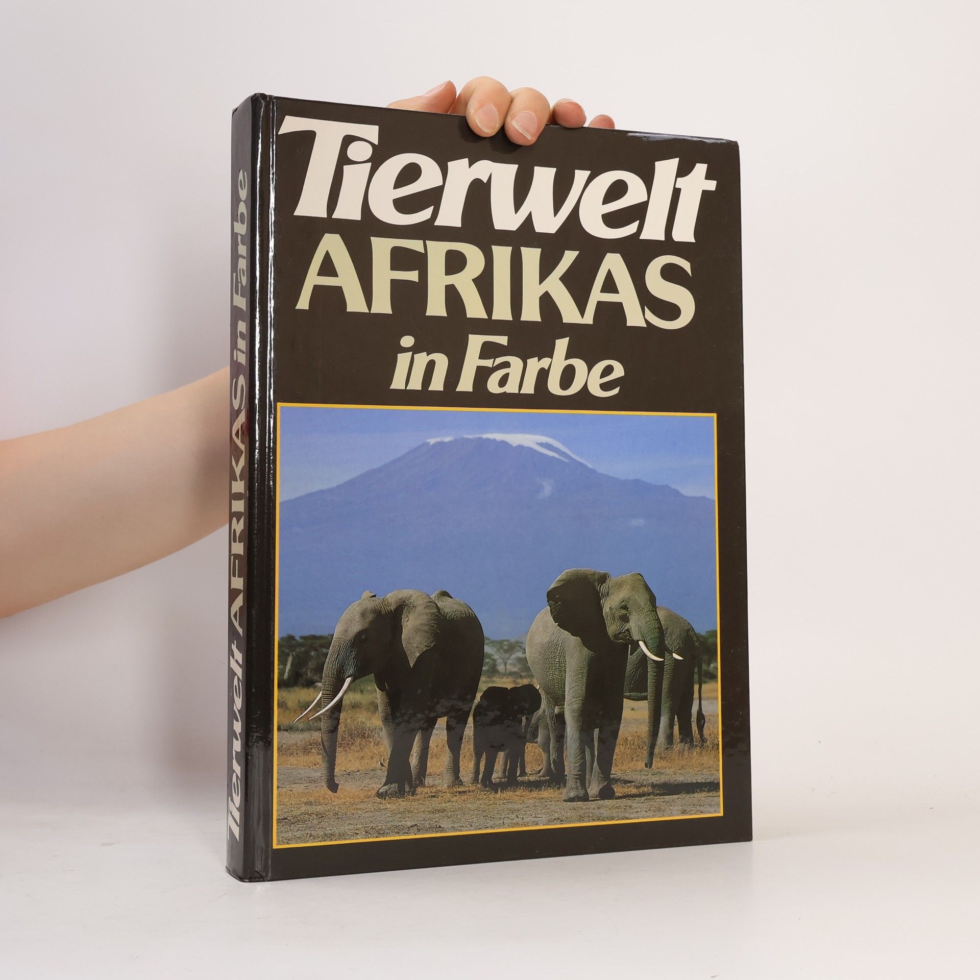 Tierwelt Afrikas in Farbe
