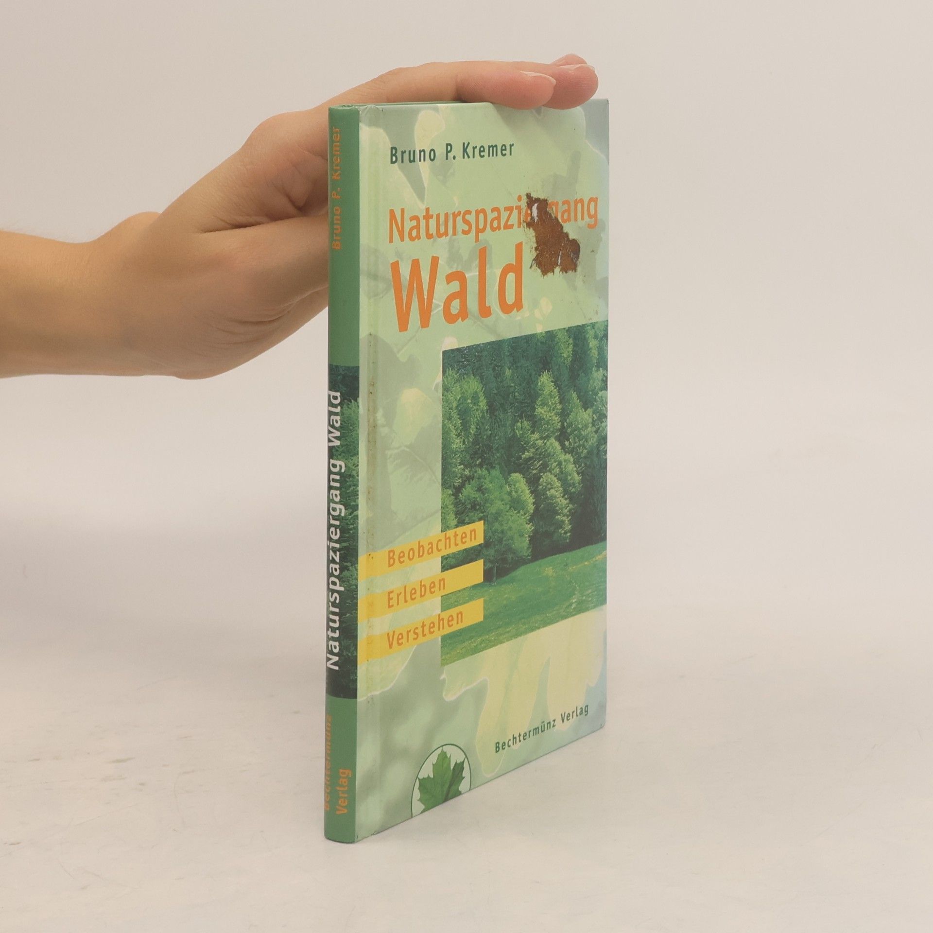 Bruno Kremer Naturspaziergang Wald