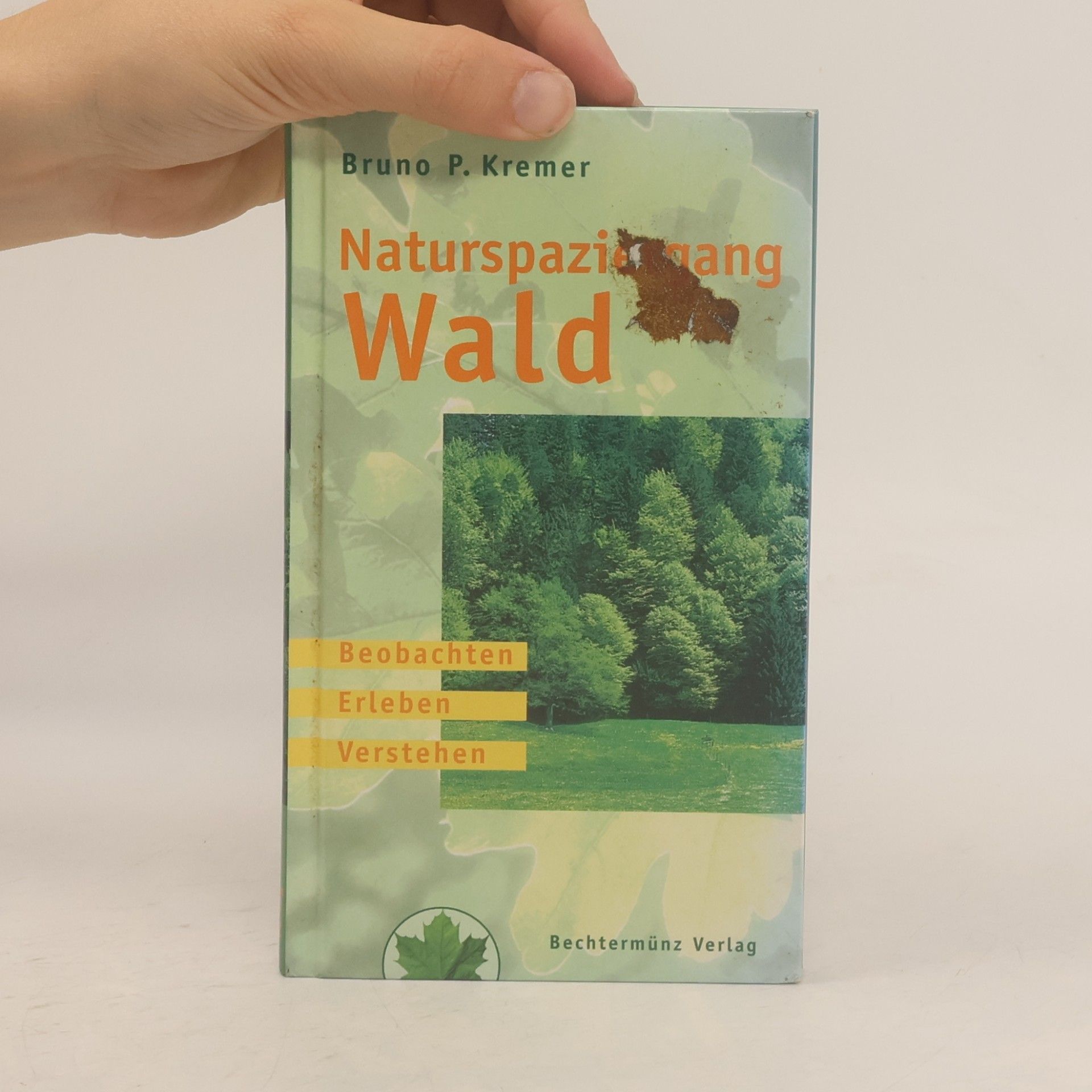 Bruno Kremer Naturspaziergang Wald