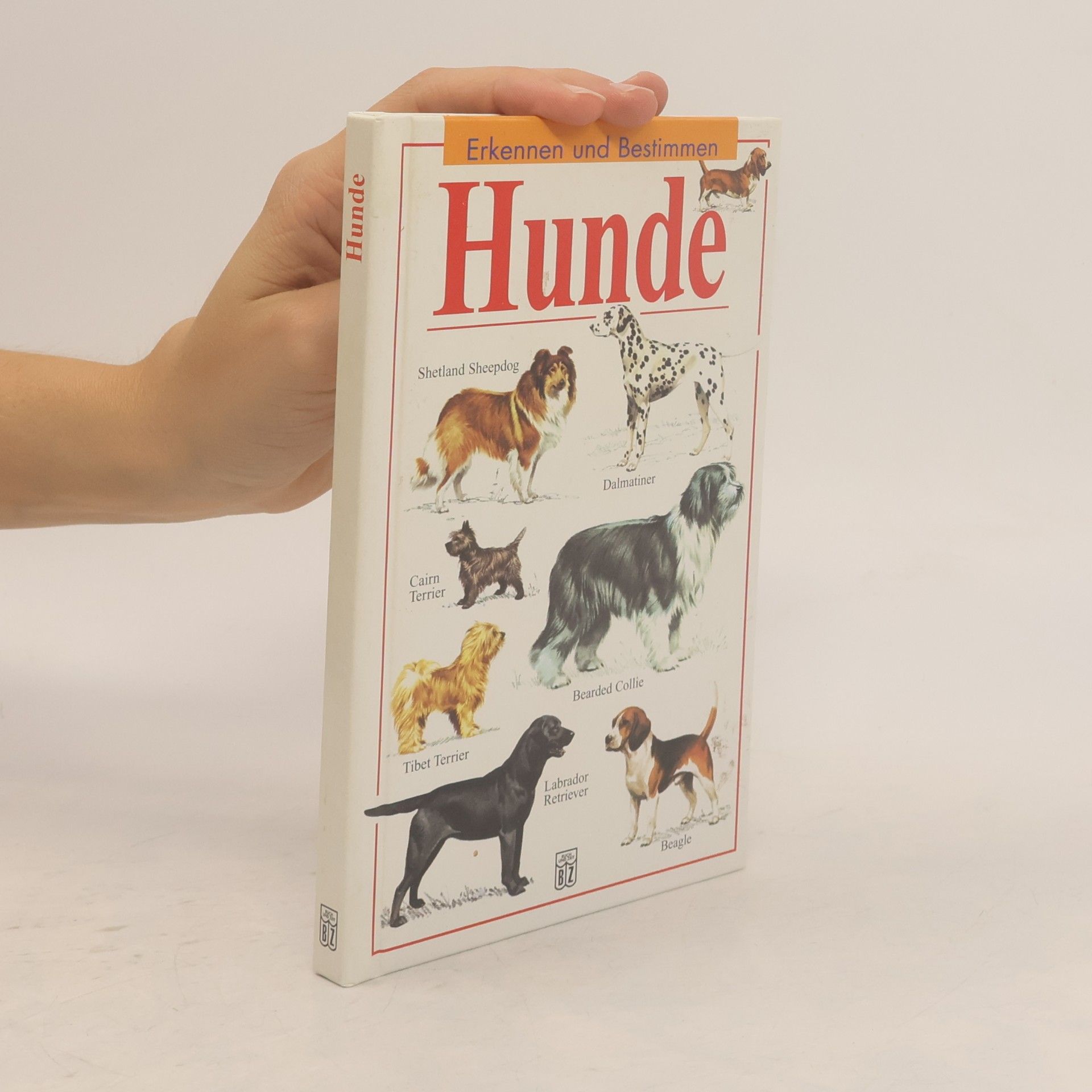 Auteurscollectief Hunde