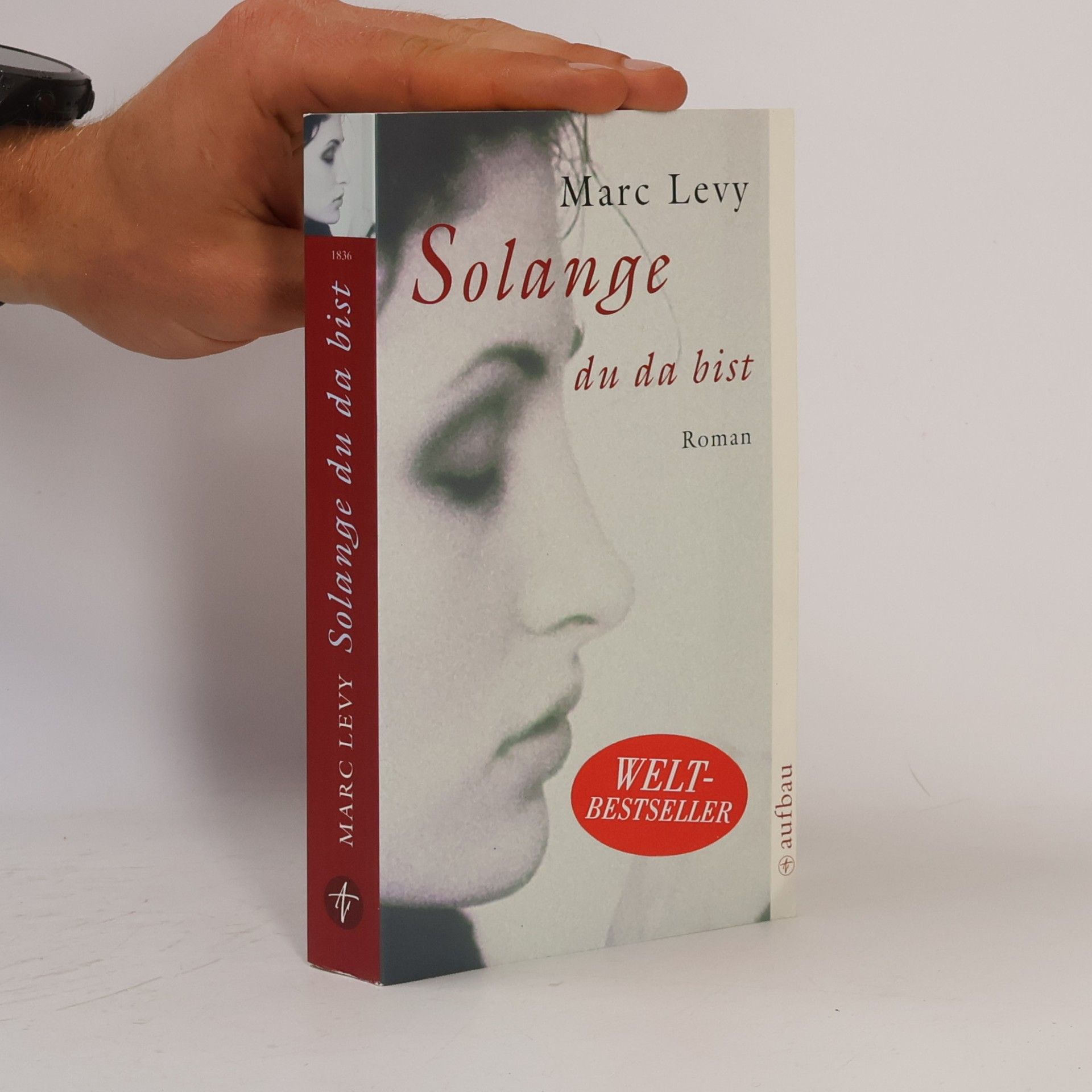 Marc Lévy Solange du da bist