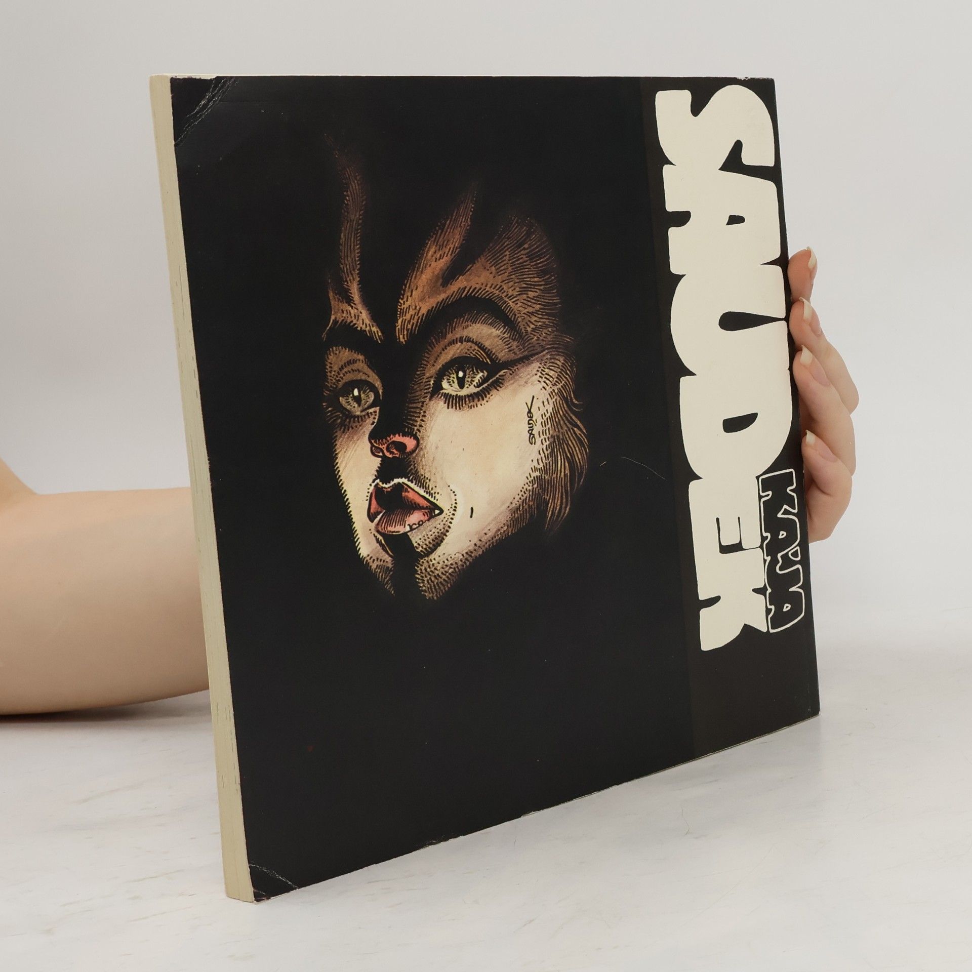 Kája Saudek Muriel a andělé