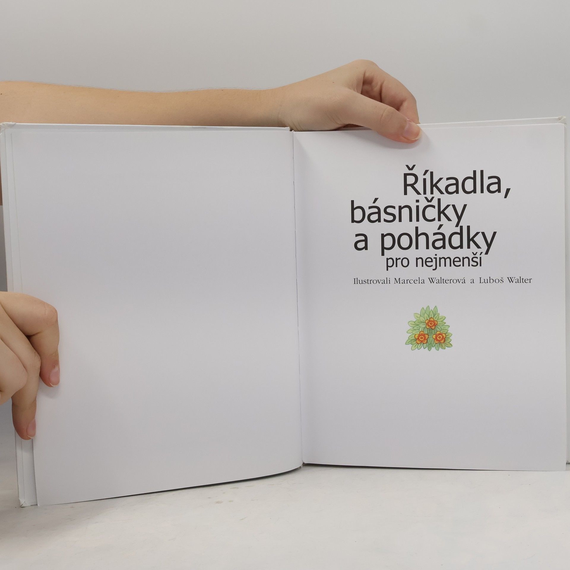 Autores varios Říkadla, básničky a pohádky pro nejmenší