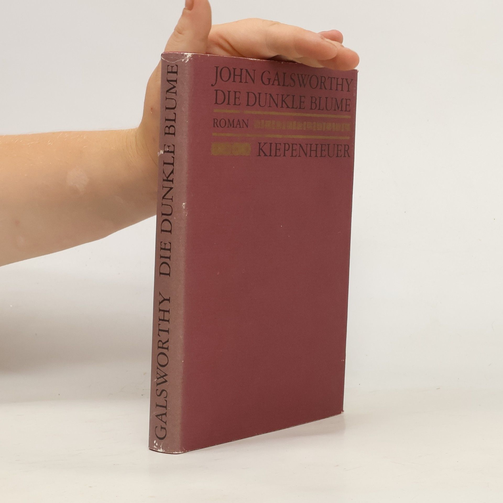 John Galsworthy Die dunkle Blume