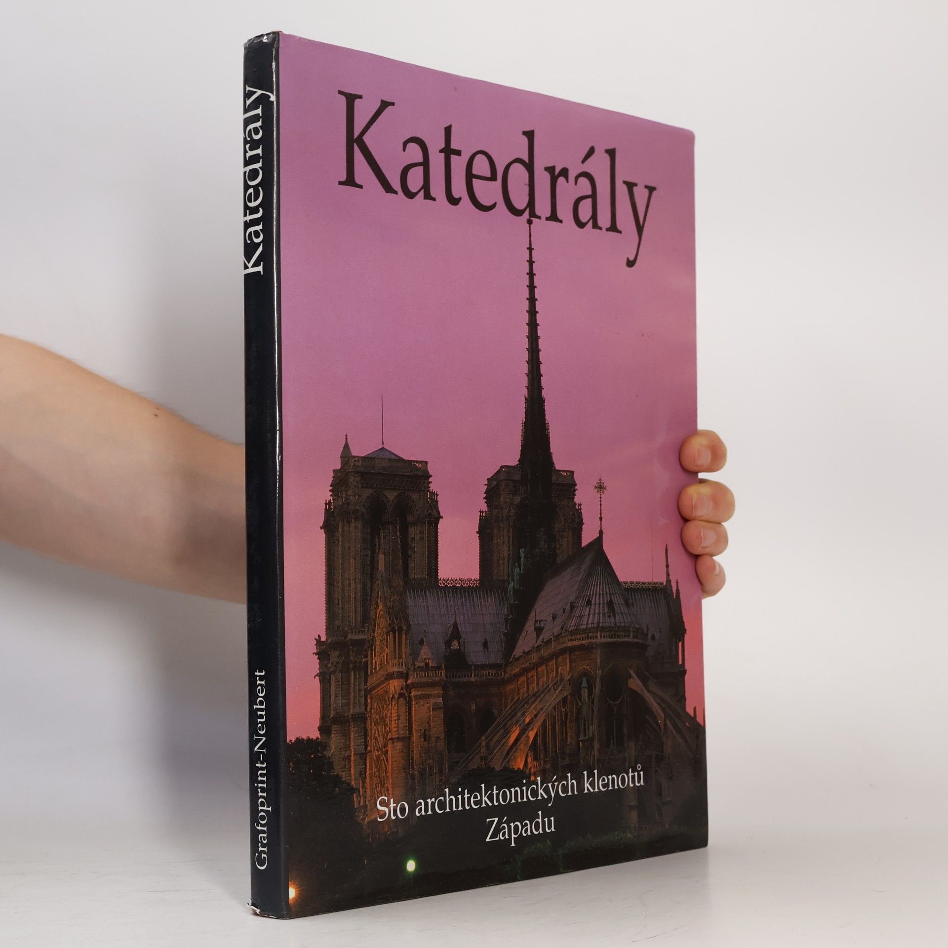 Josef Matějů Katedrály. Sto architektonických klenotů Západu