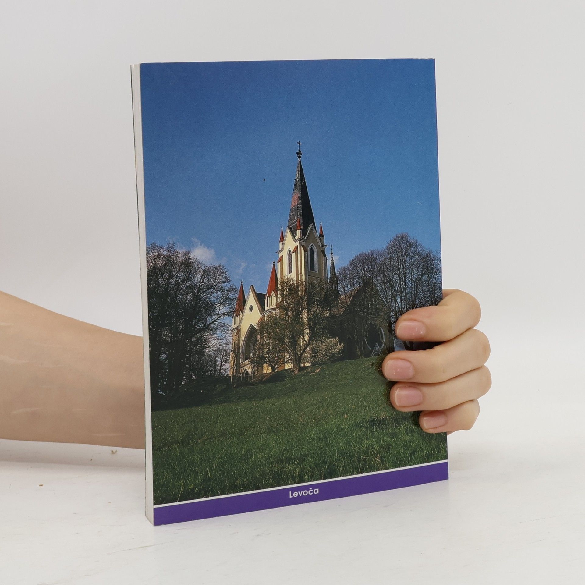 Kolektiv autorů Pútnik svätovojtešský 1998