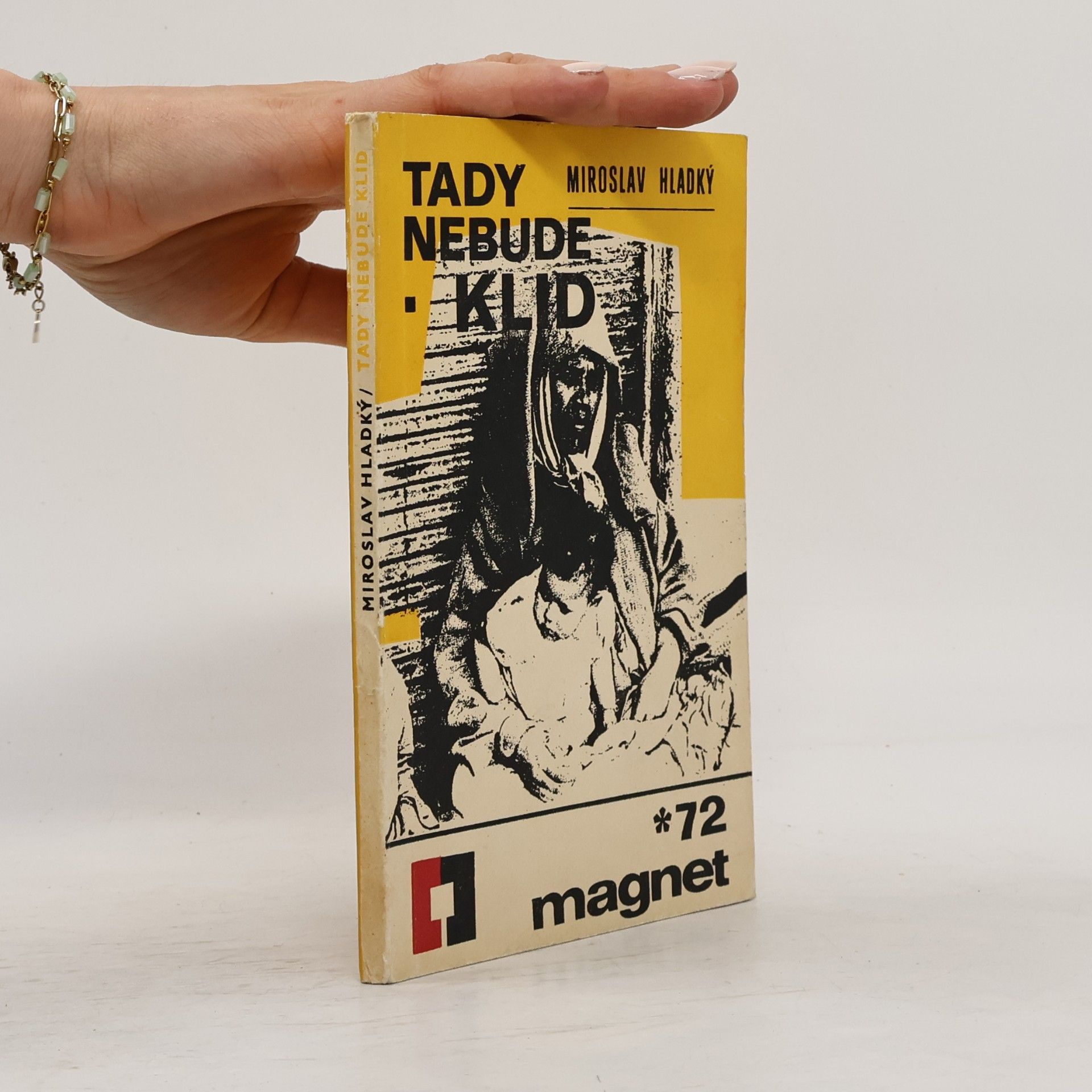 Miroslav Hladký Tady nebude klid
