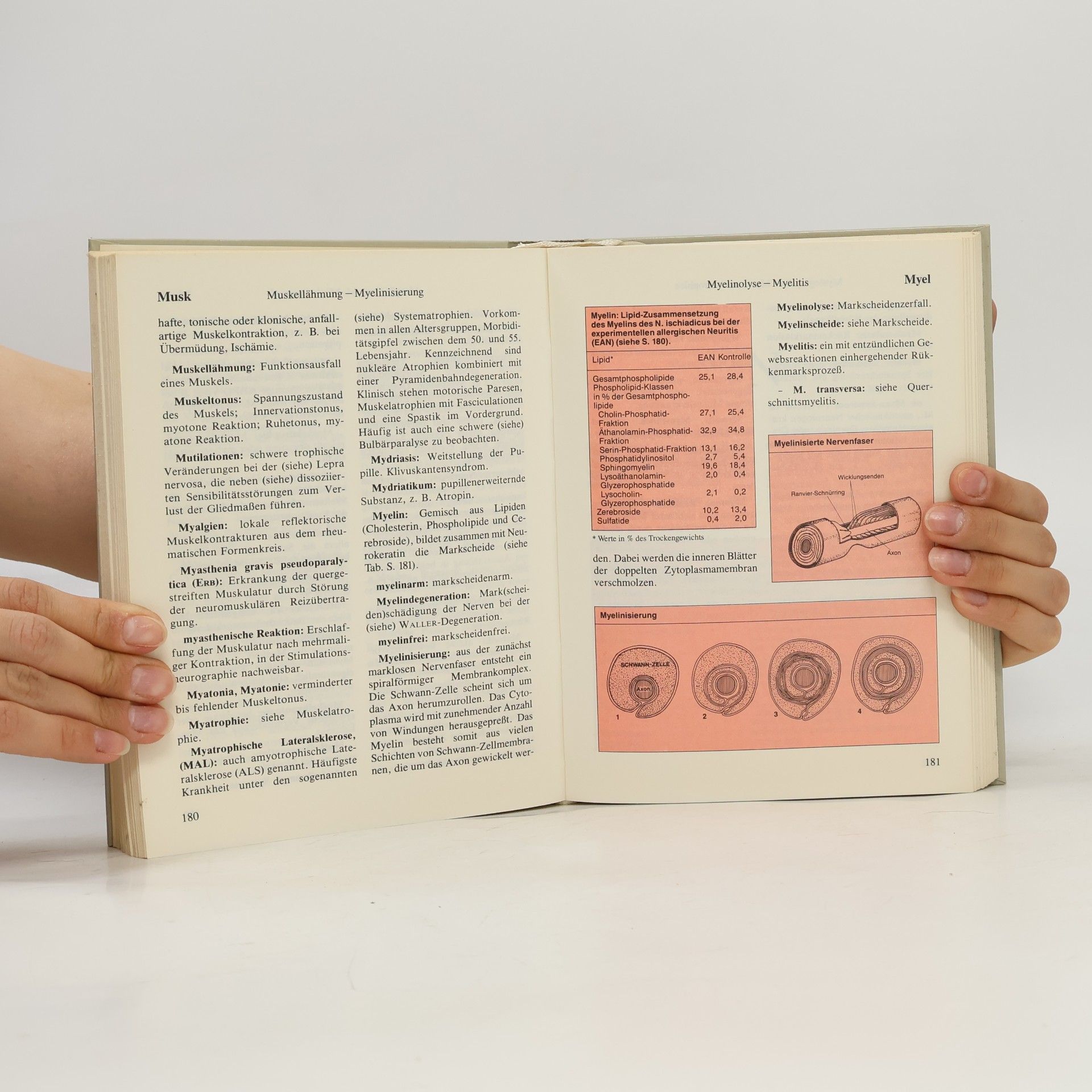 Frieder Láhoda Nordmark-Wörterbuch der klinischen Neurologie