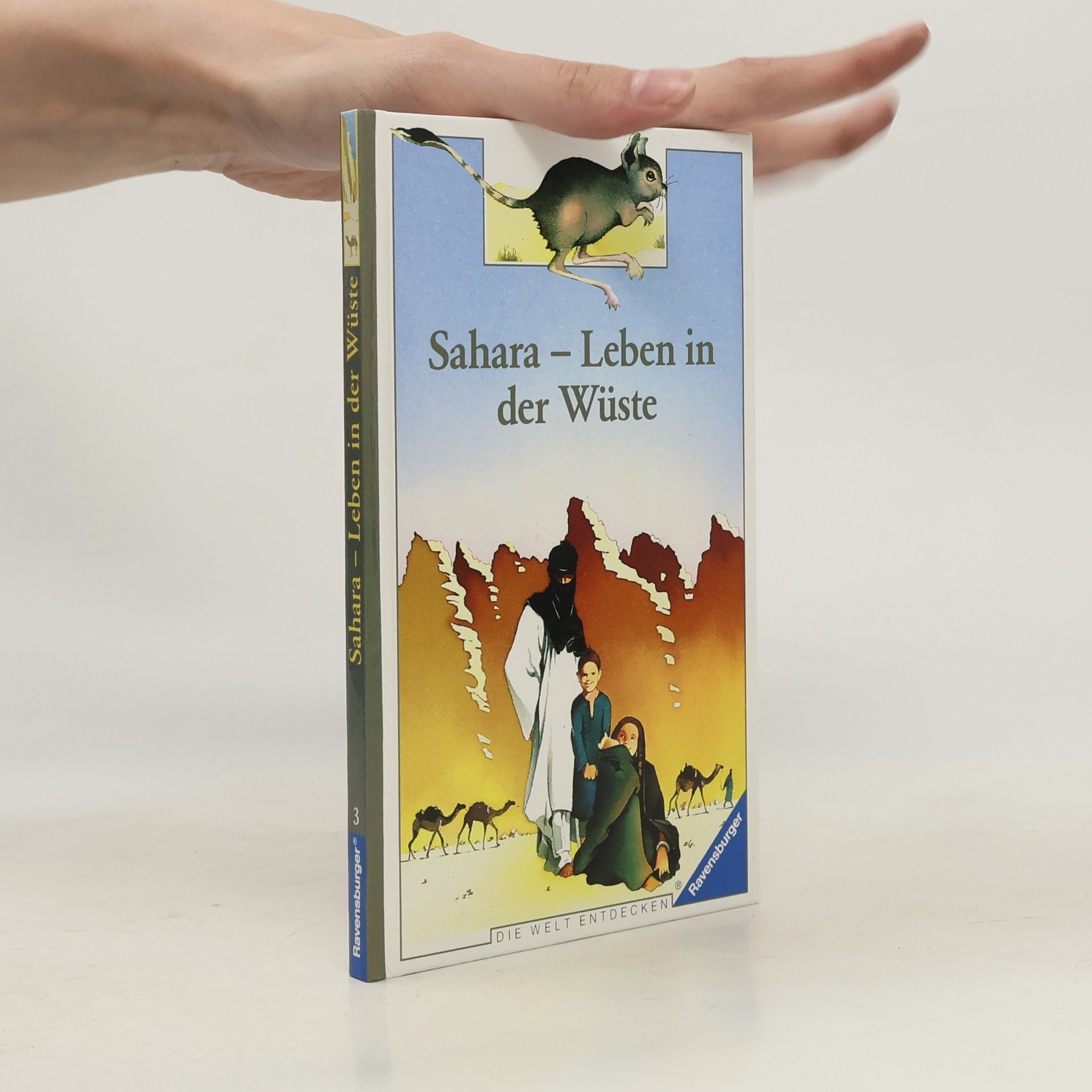 Laurence Ottenheimer Maquet Sahara