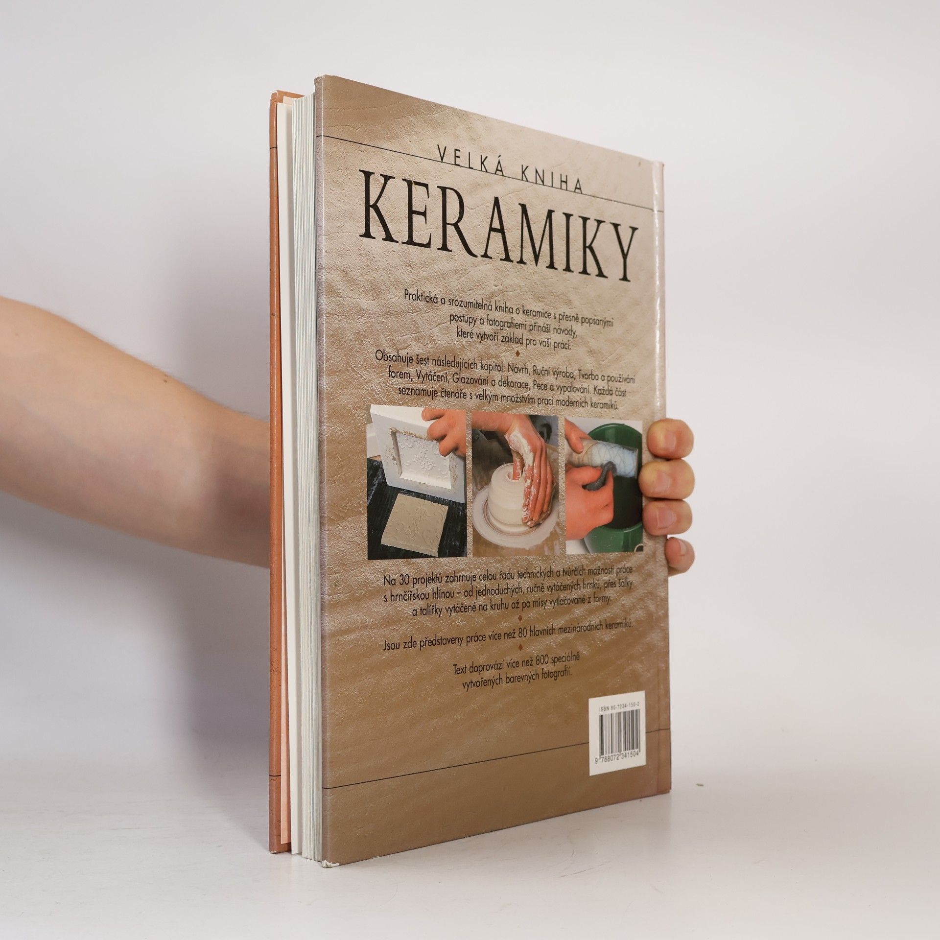 Josie Warshaw Velká kniha keramiky