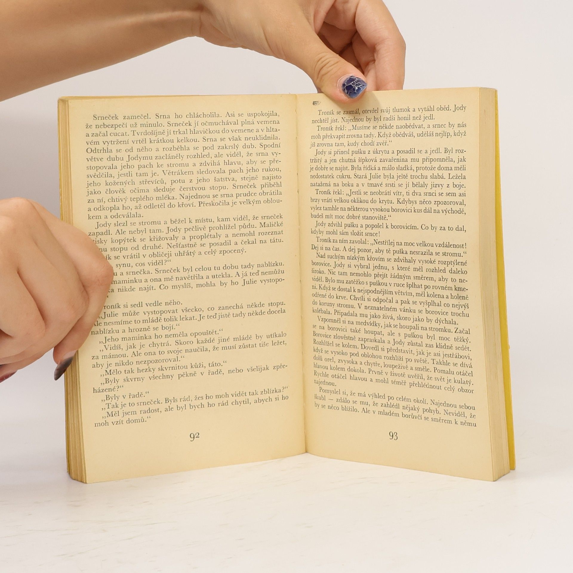 Marjorie Kinnan Rawlings Dítě divočiny