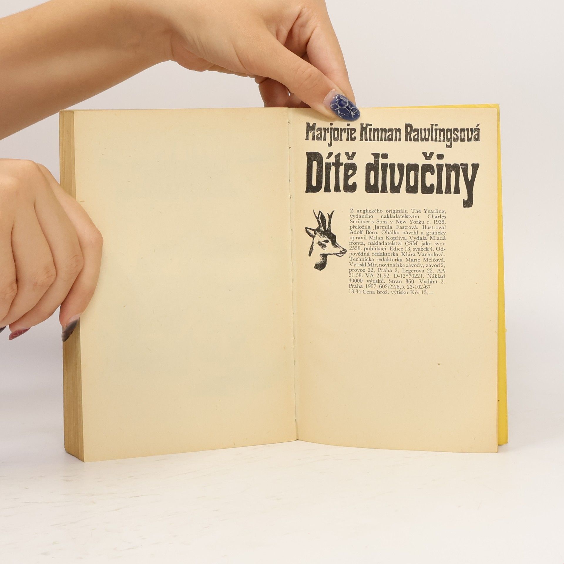 Marjorie Kinnan Rawlings Dítě divočiny