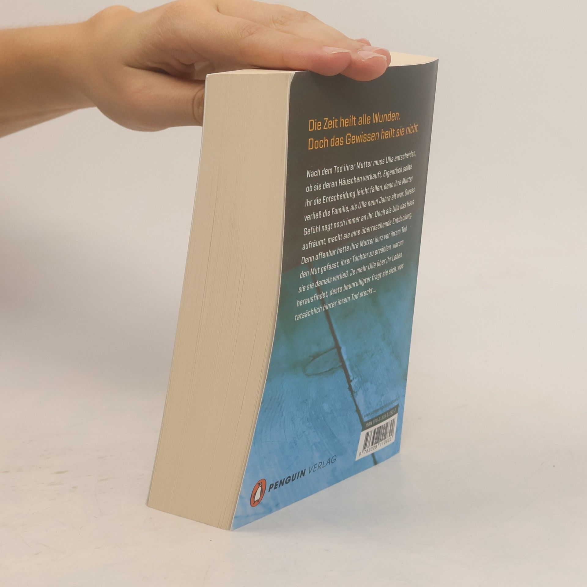 Ellen Sandberg Das Geheimnis