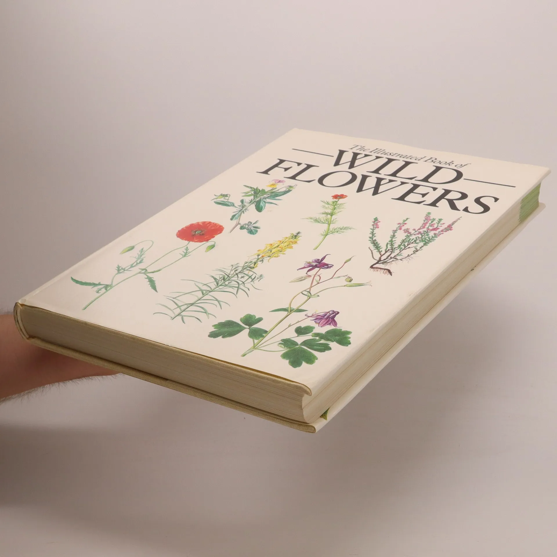 The Illustrated Book of Wild Flowers - Zdenka Podhajská 