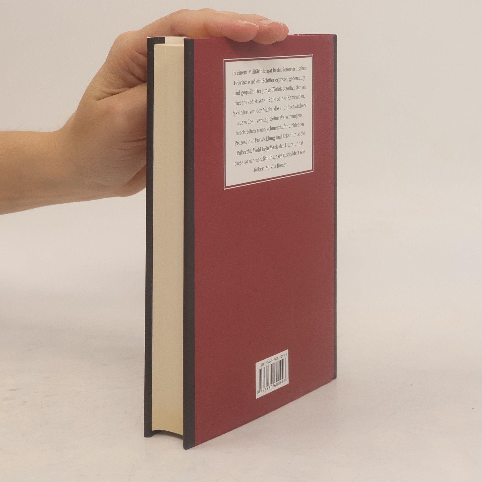 Robert Musil Die Verwirrungen des Zöglings Törleß