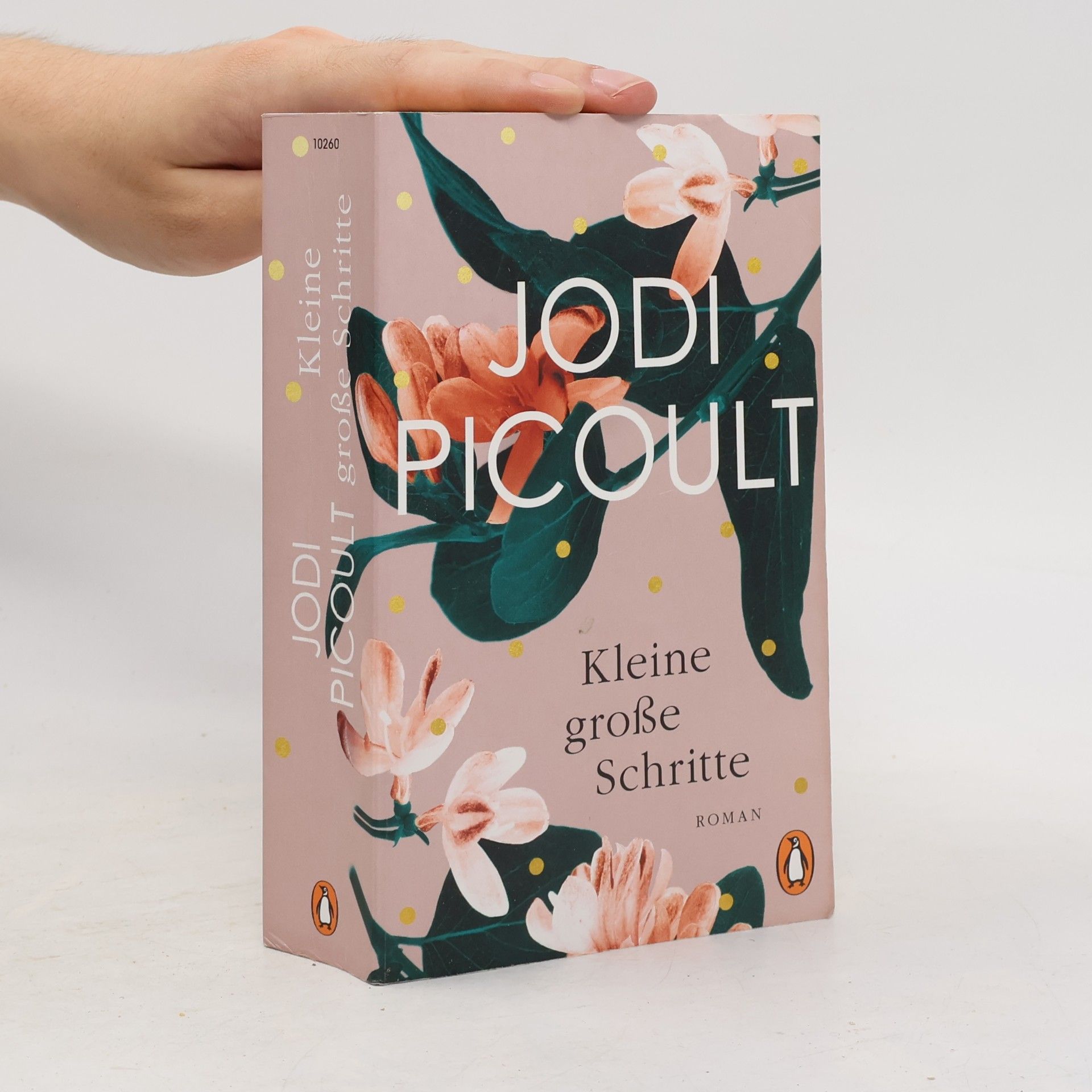 Jodi Picoult Kleine große Schritte