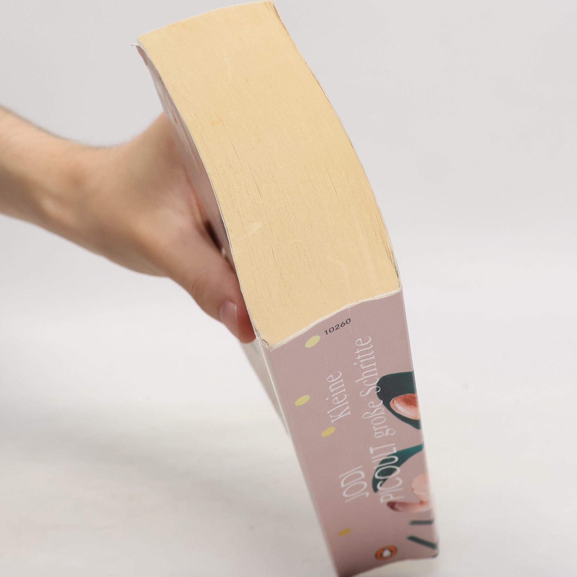Jodi Picoult Kleine große Schritte