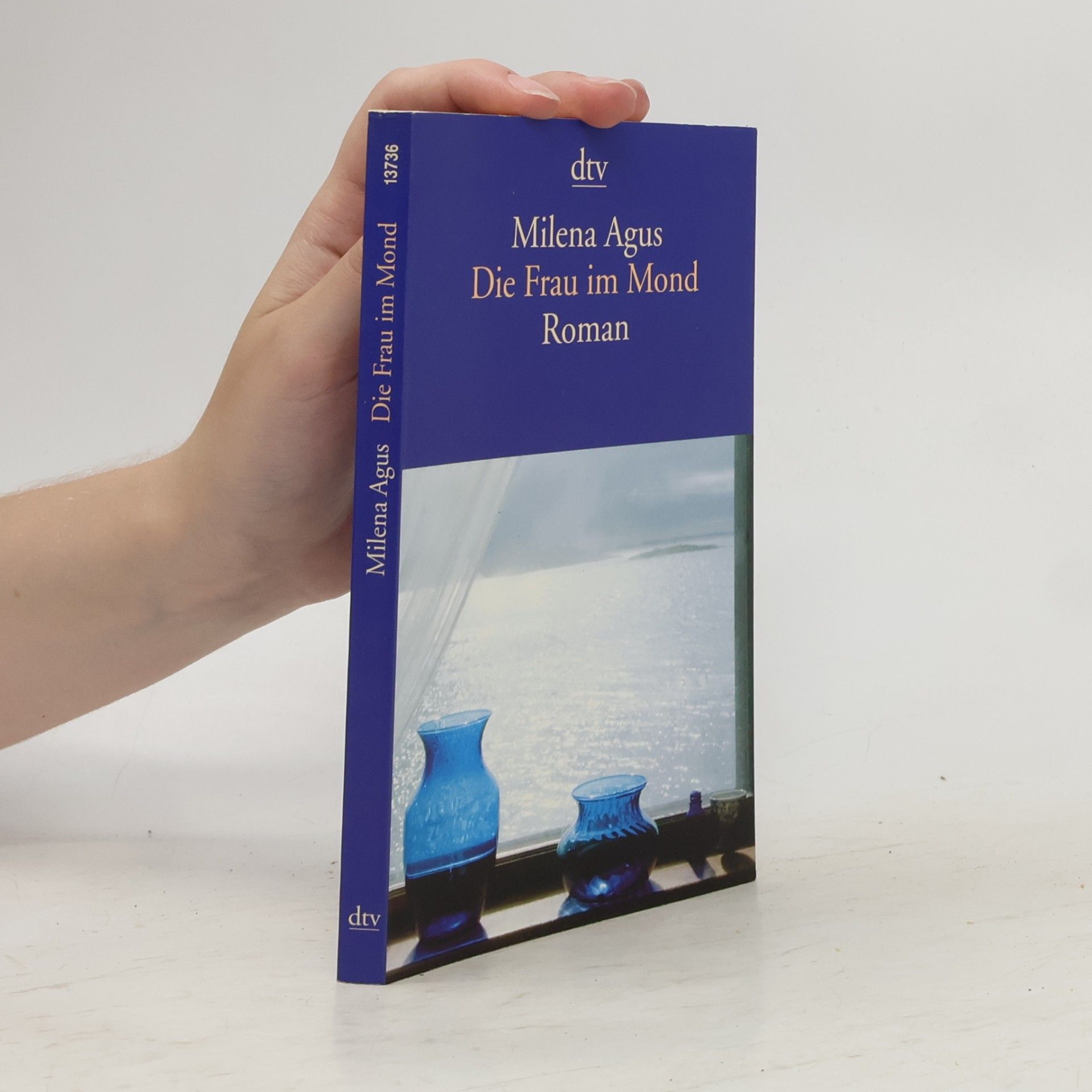Milena Agus Die Frau im Mond