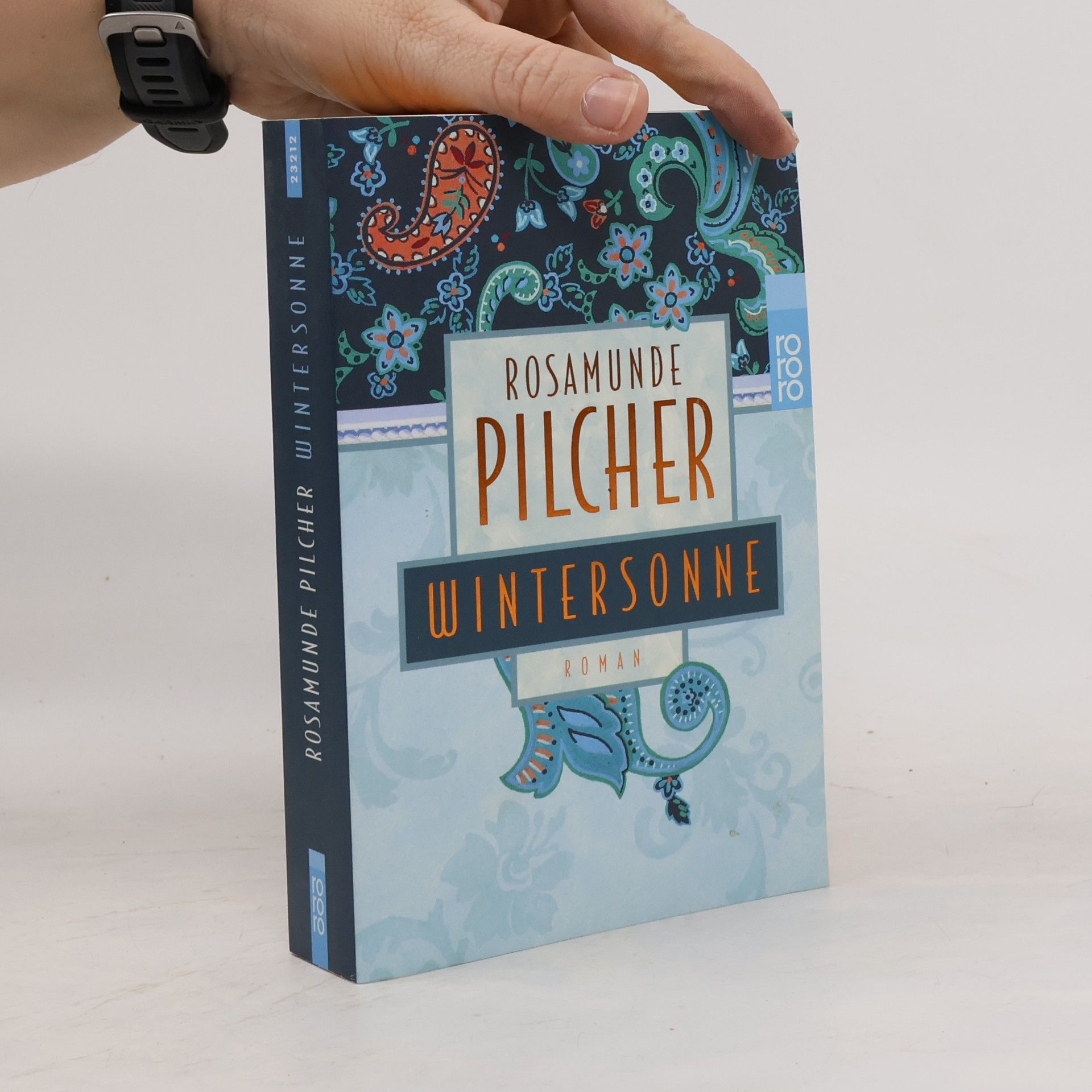 Rosamunde Pilcher Wintersonne
