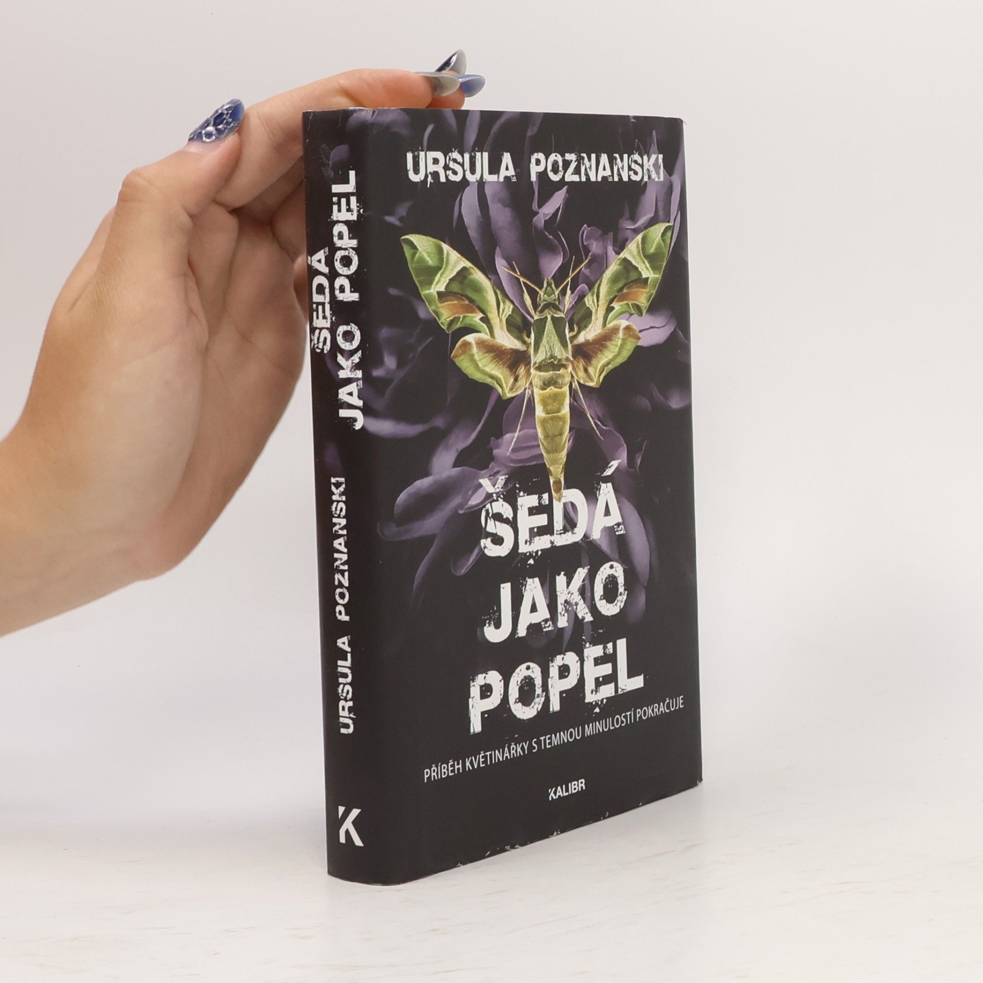Ursula Poznanski Šedá jako popel