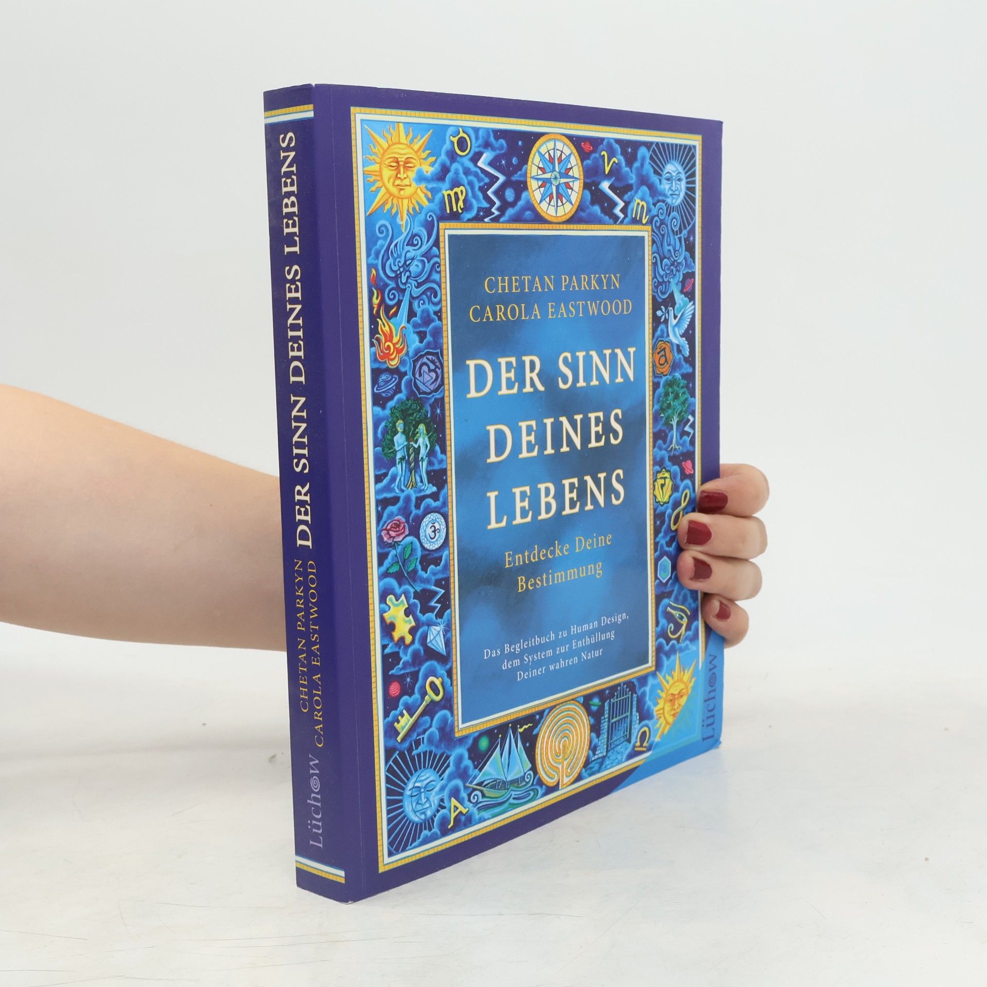 Chetan Parkyn Der Sinn Deines Lebens