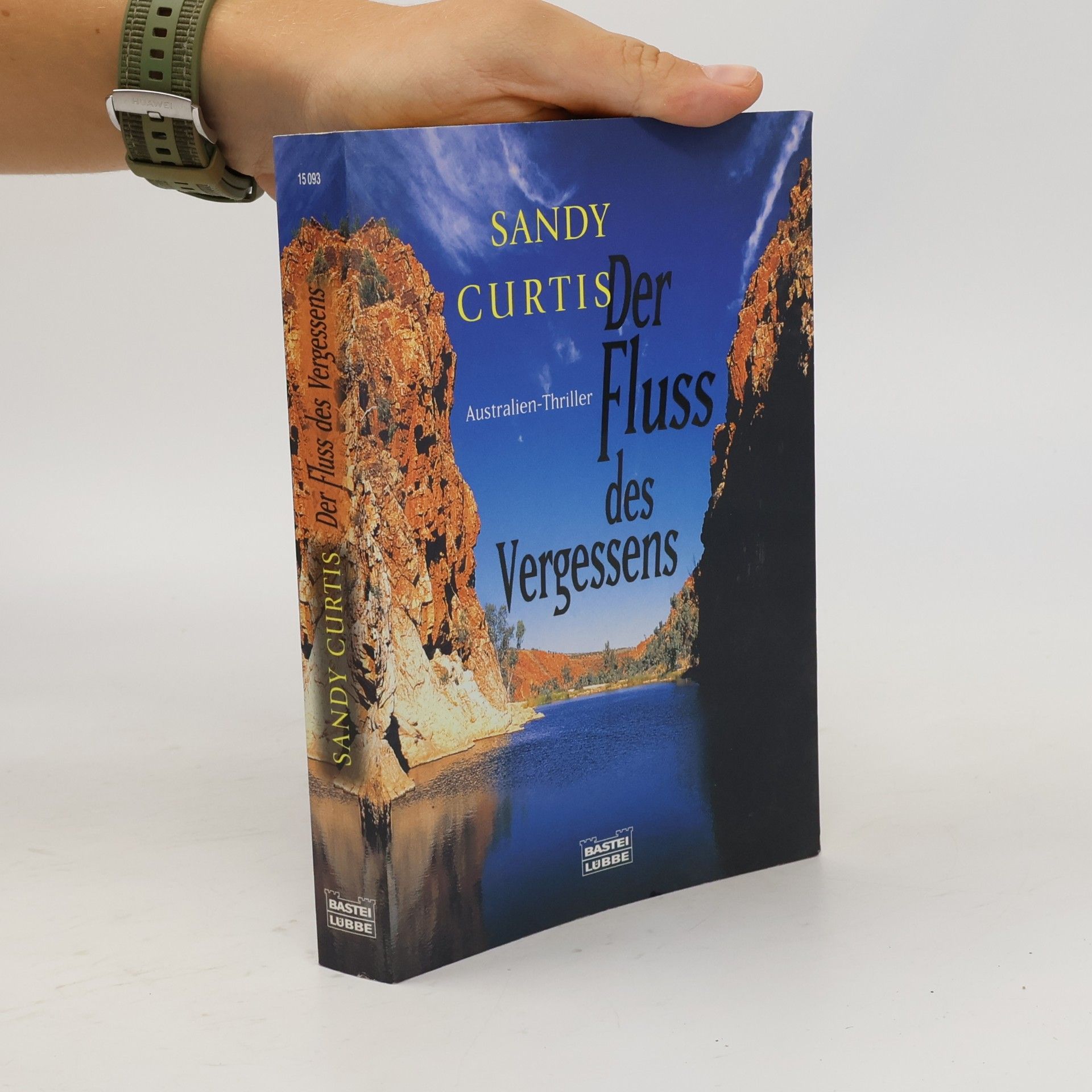 Sandy Curtis Der Fluss des Vergessens