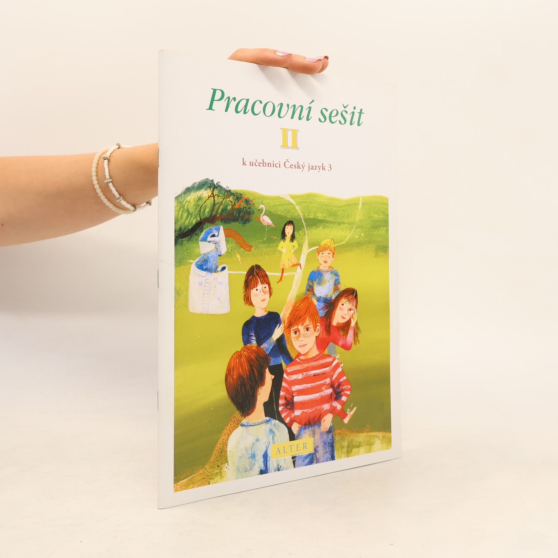 Pracovní sešit II. k učebnici Český jazyk 3