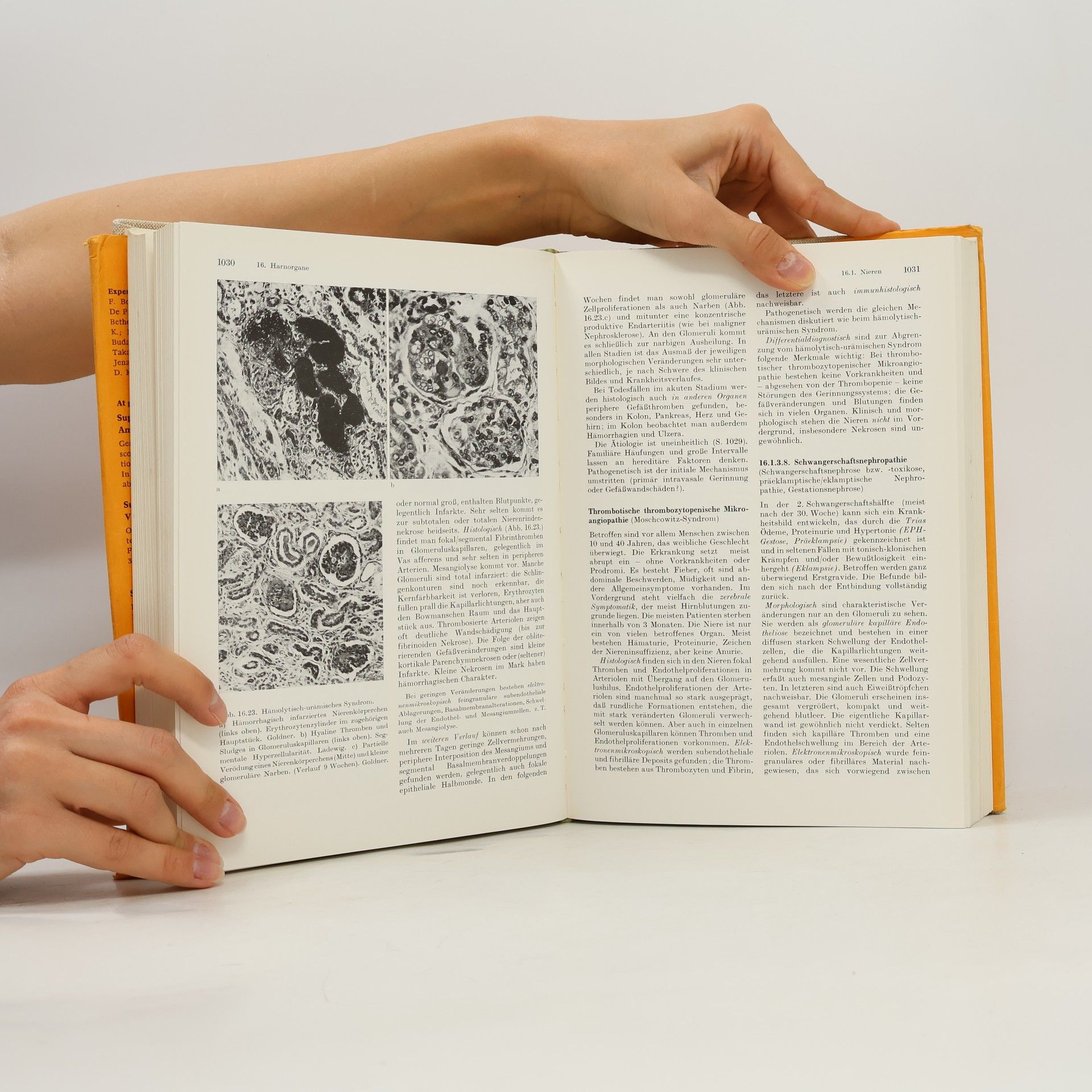 Dieter Schreiber Spezielle Pathologie 2