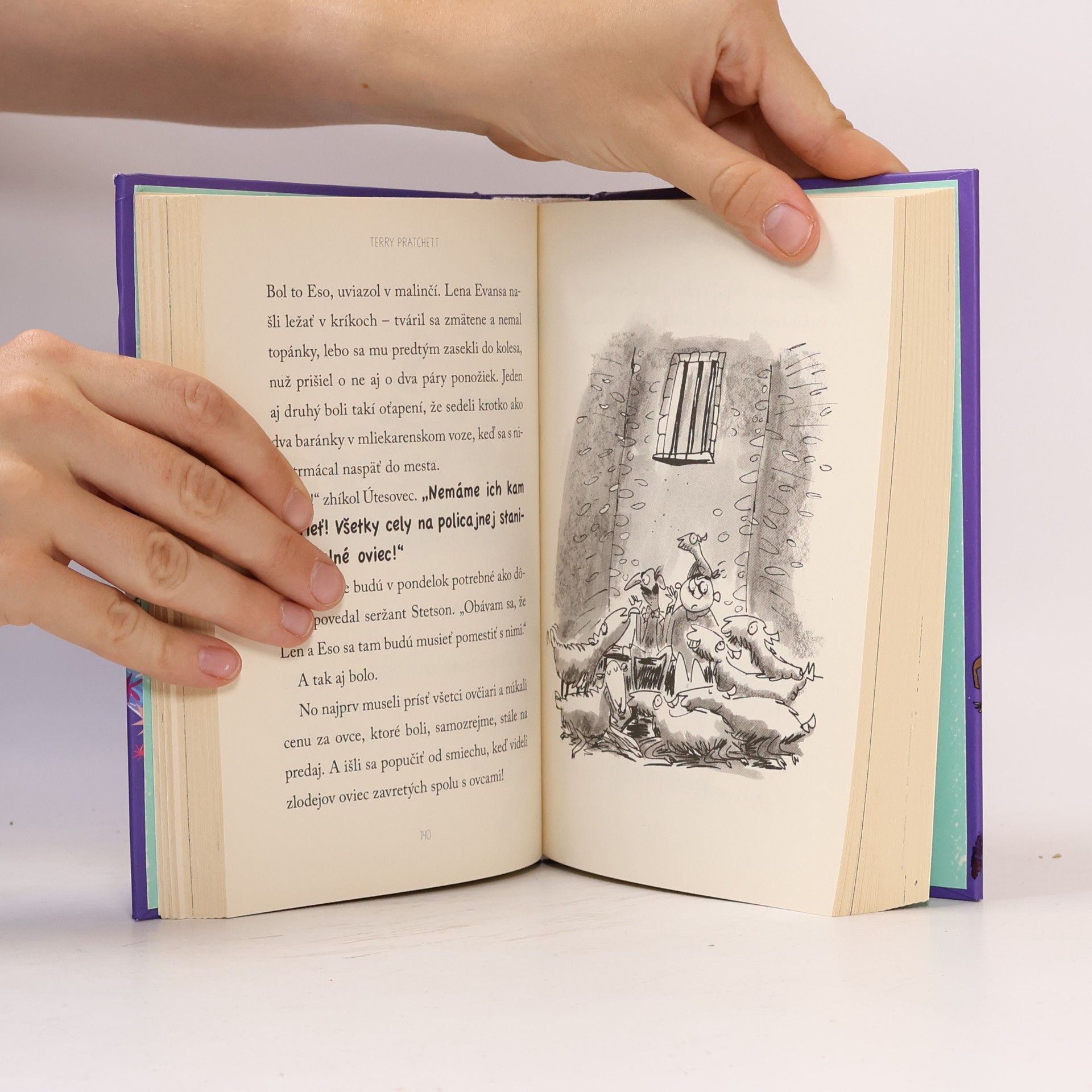 Terry Pratchett Striga na vysávači