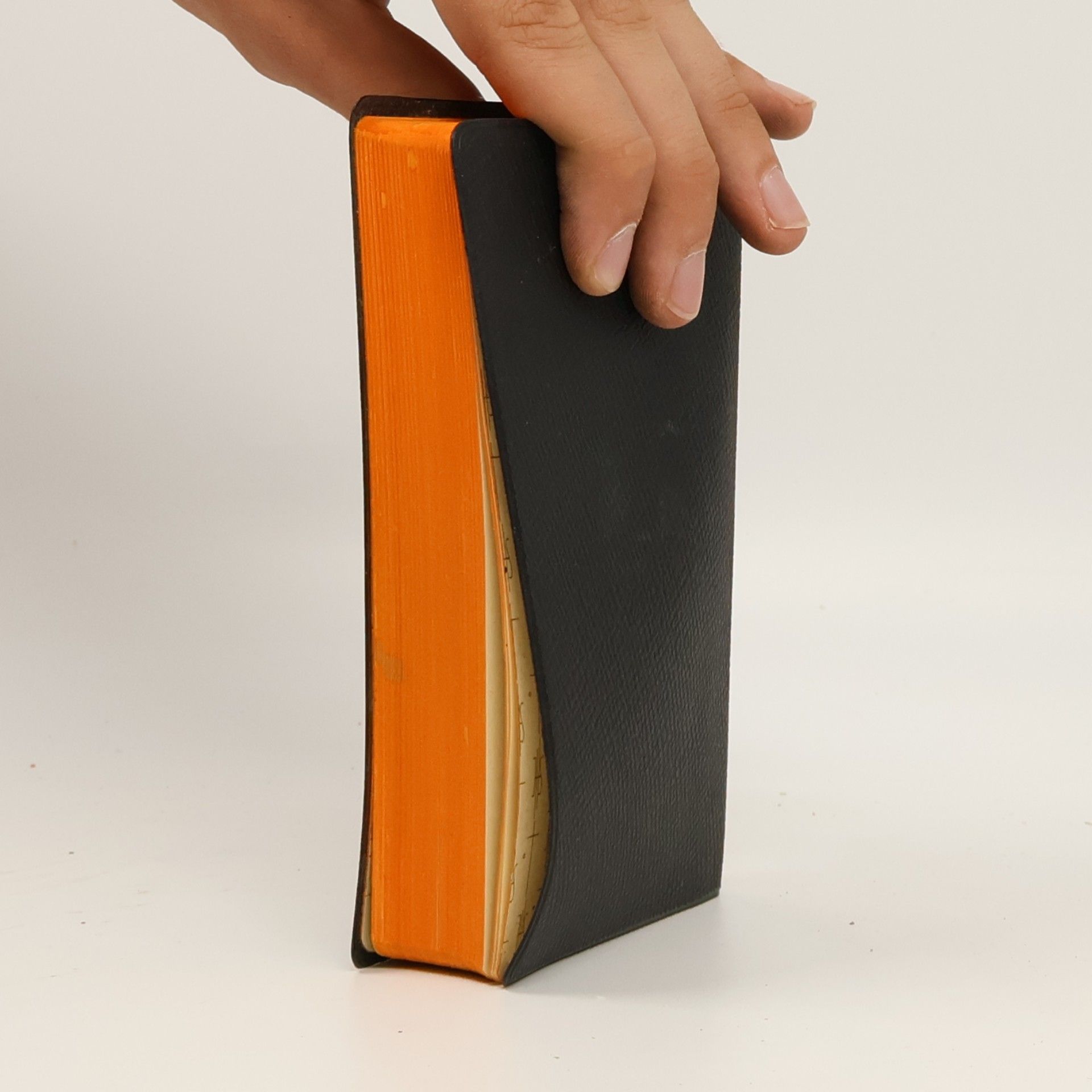 Rudolf Graber Das goldene Buch