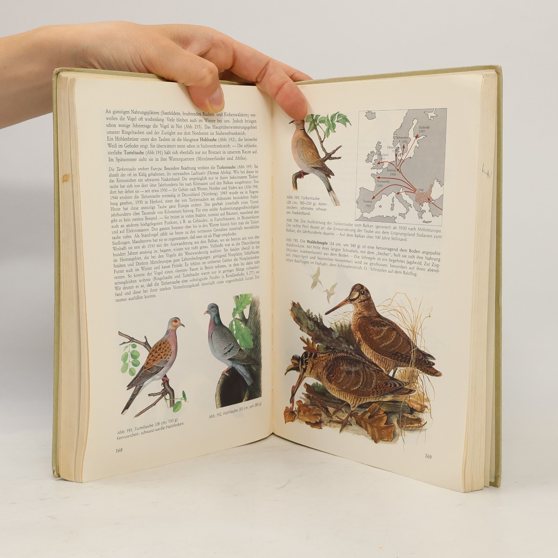 R. Dircksen Tierkunde 1