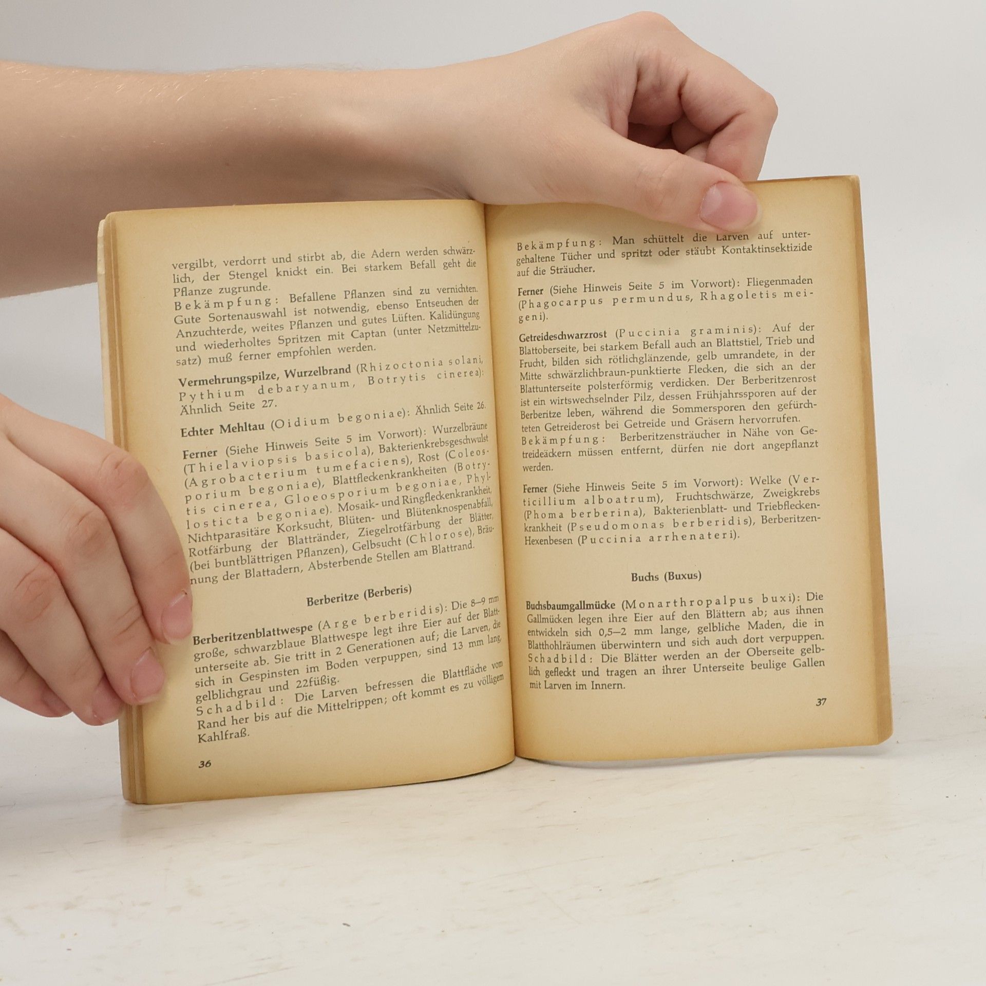 Autorenkollektiv Schädlingsbekämpfung an Zierpflanzen